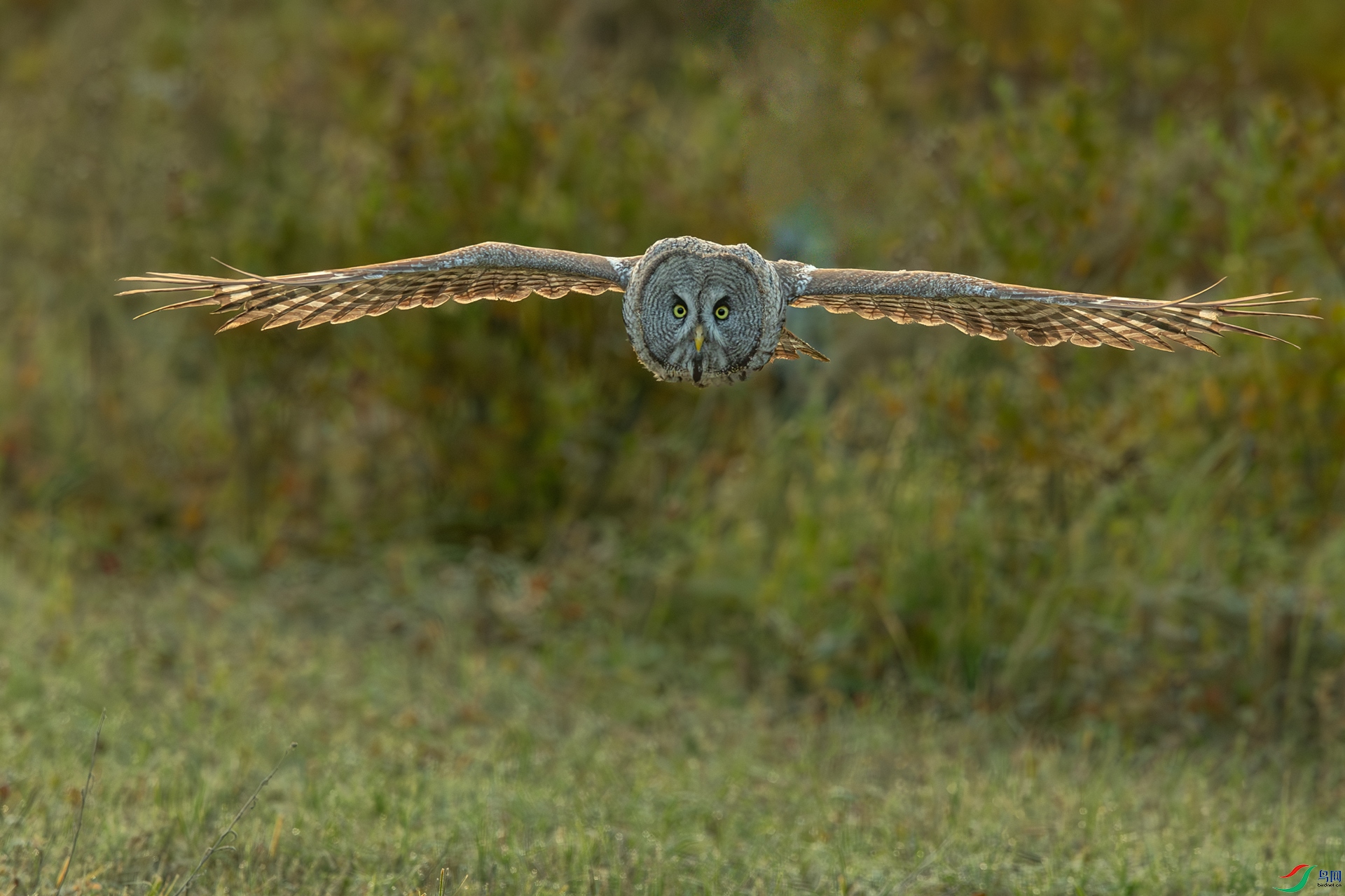 _DSC3134-2.jpg
