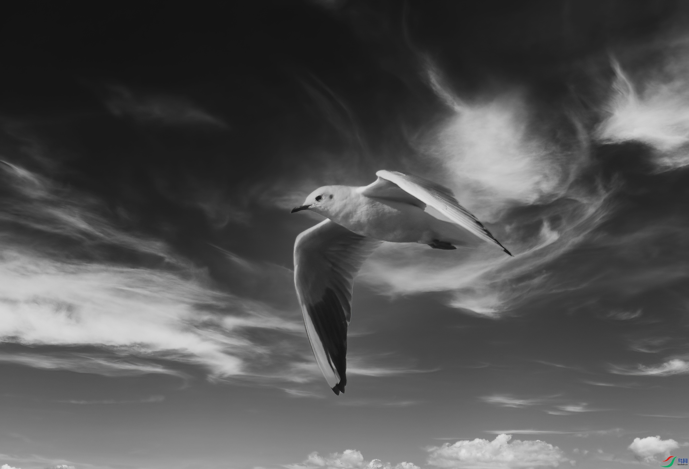 DSC_5454 ����.jpg