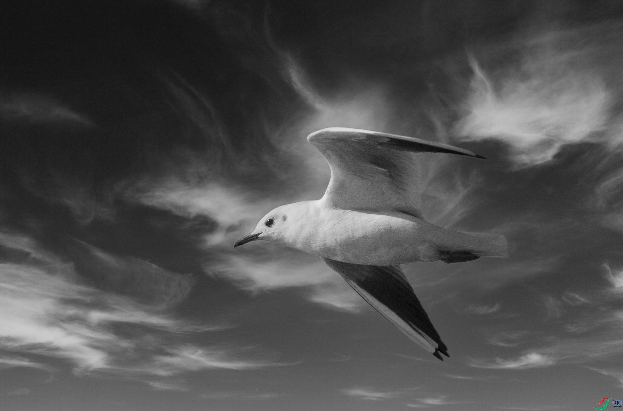 DSC_5467 ����.jpg