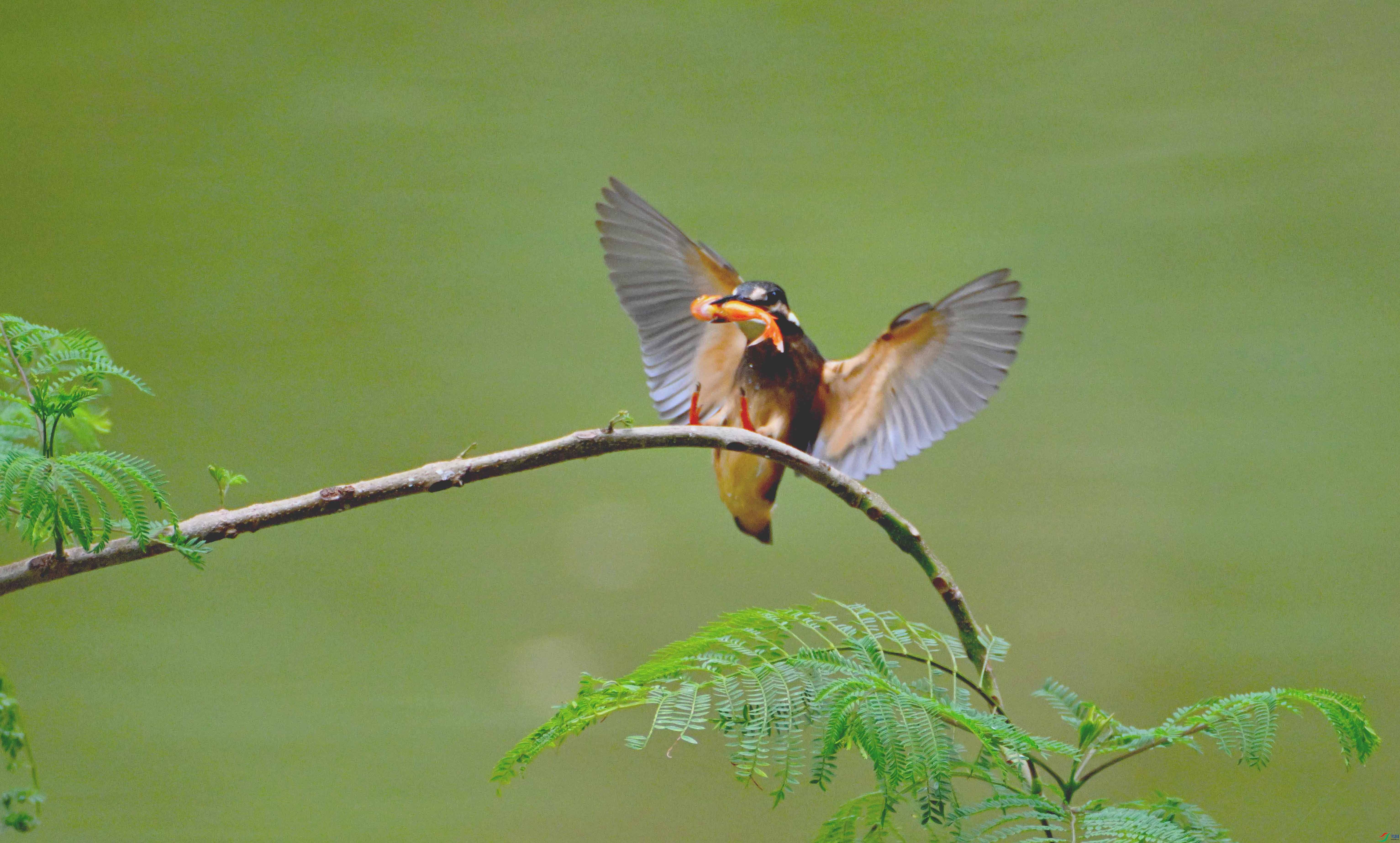 DSC_8947 ���� 2.jpg