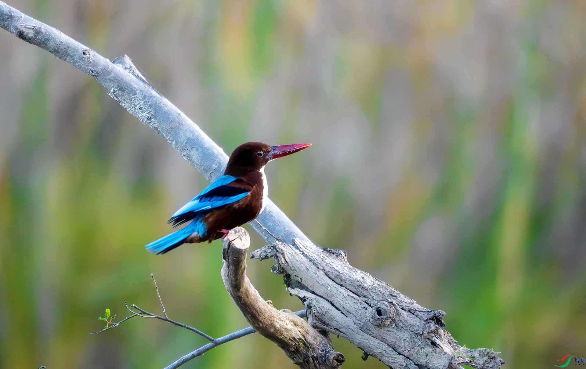 DSC07407-����ǿ-NR ����.jpg