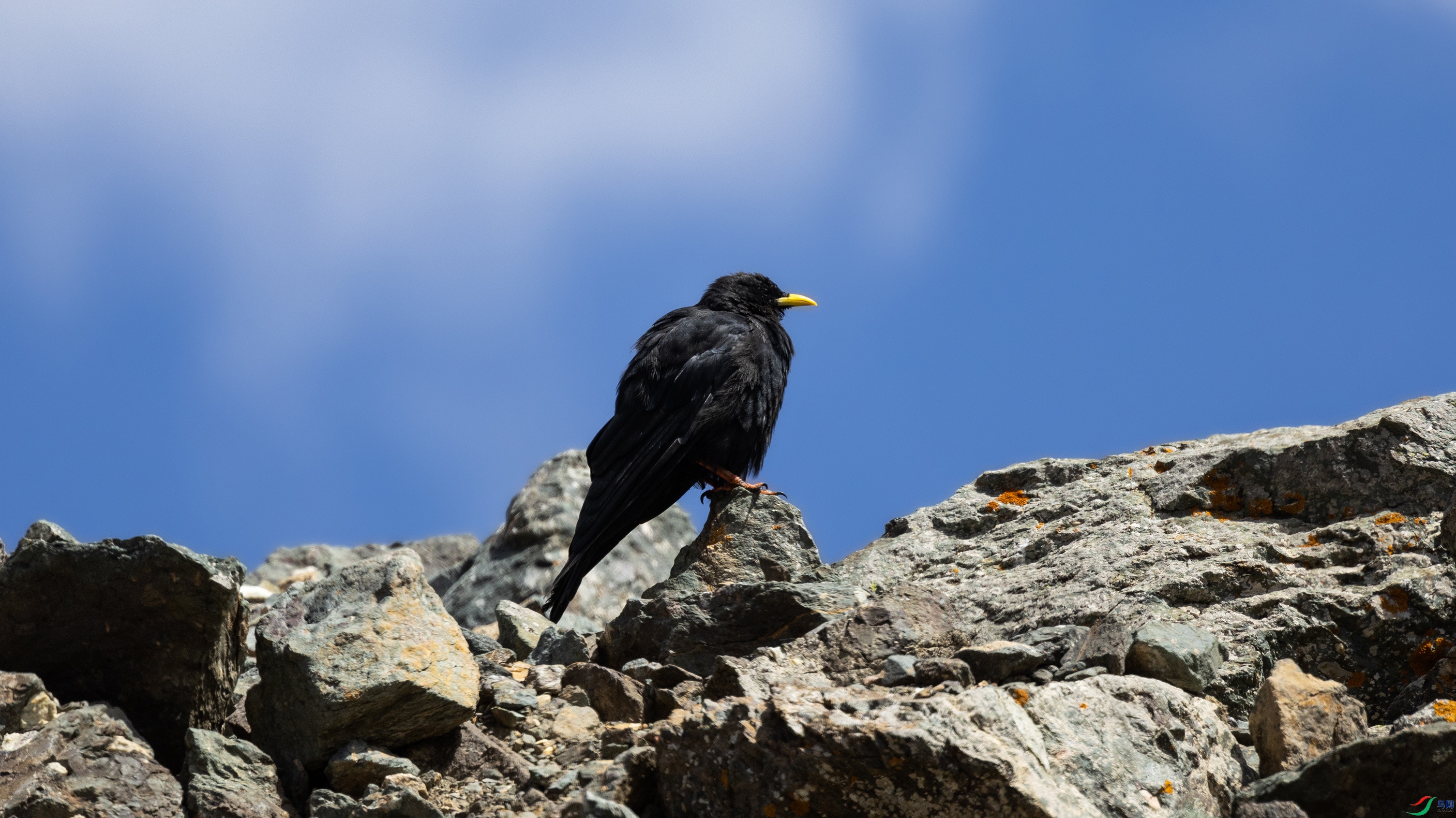 0O7A2082 ����4444.jpg