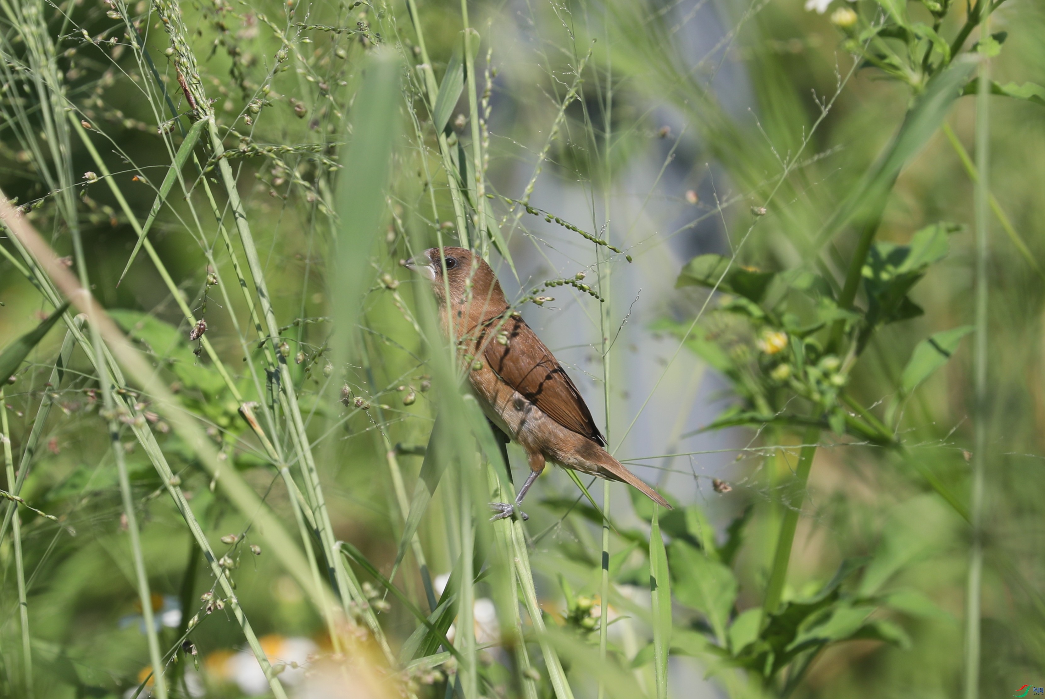BL7A8817.JPG