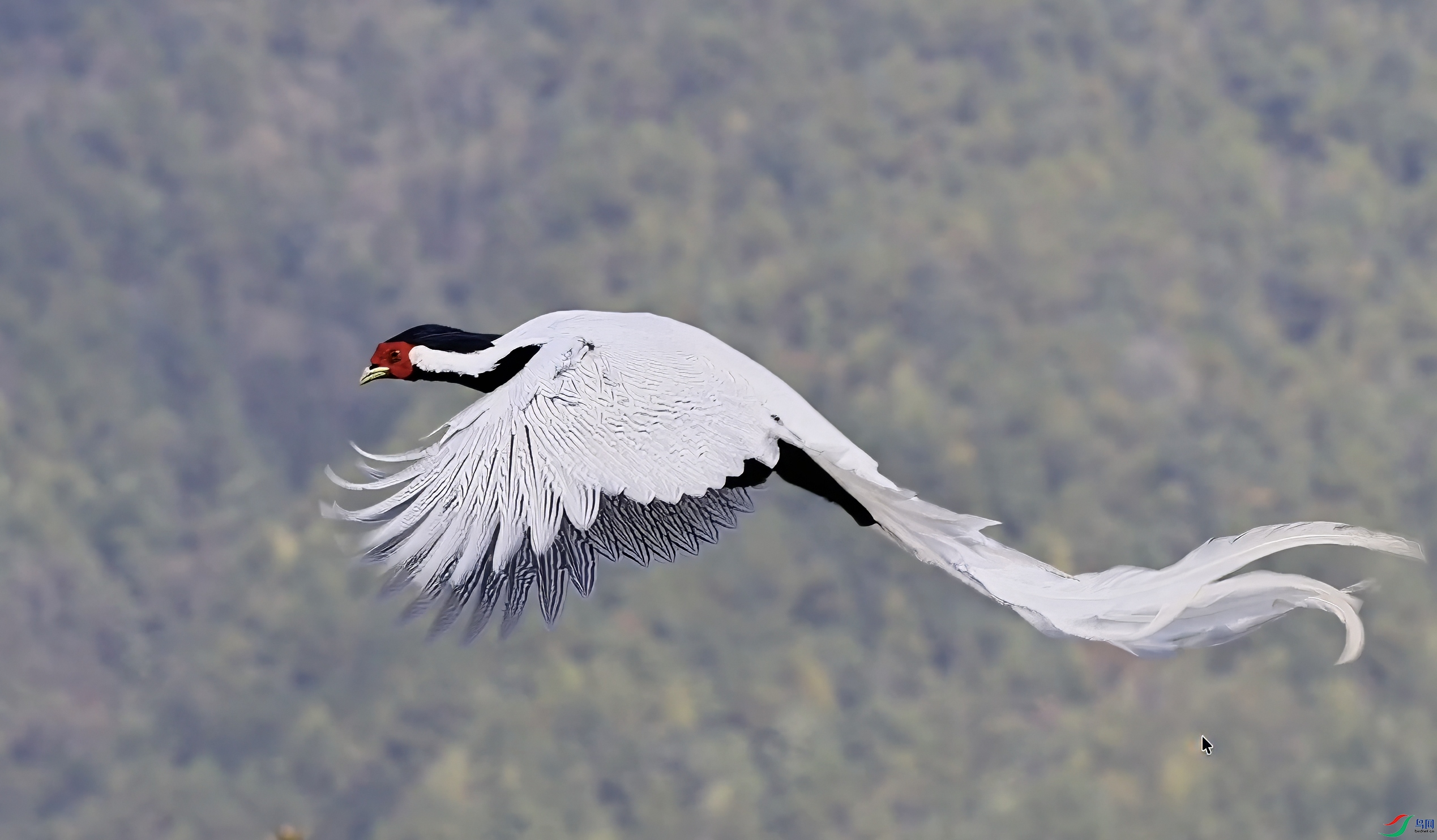 A-A����2025-09-18 20.44.16-topaz-sharpen-denoise.jpeg