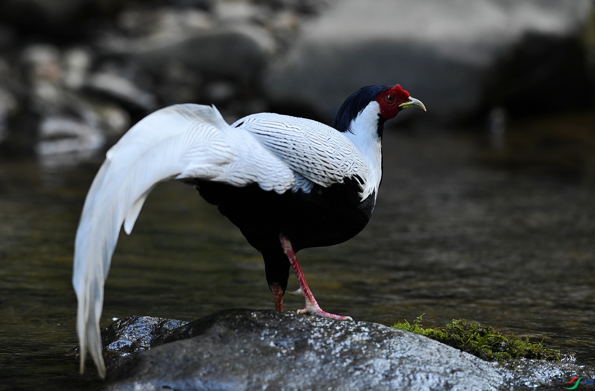 DSC_3247.jpg
