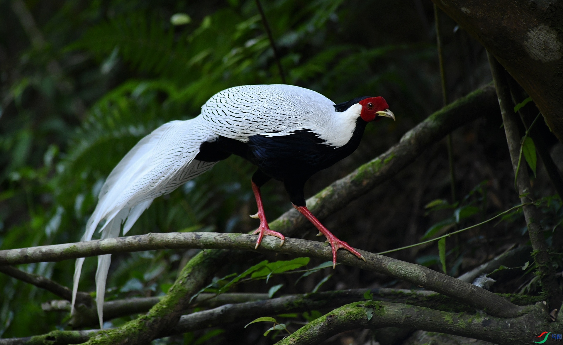 DSC_6328.jpg