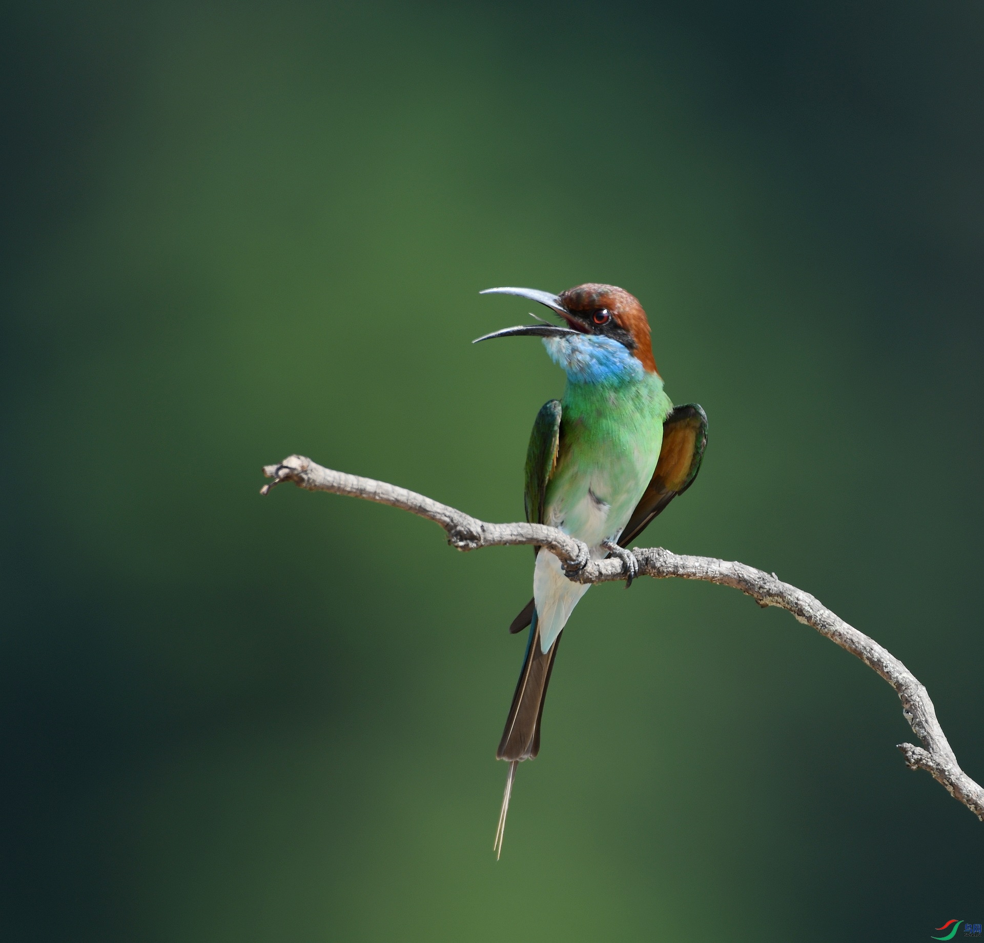 DSC_6412.jpg