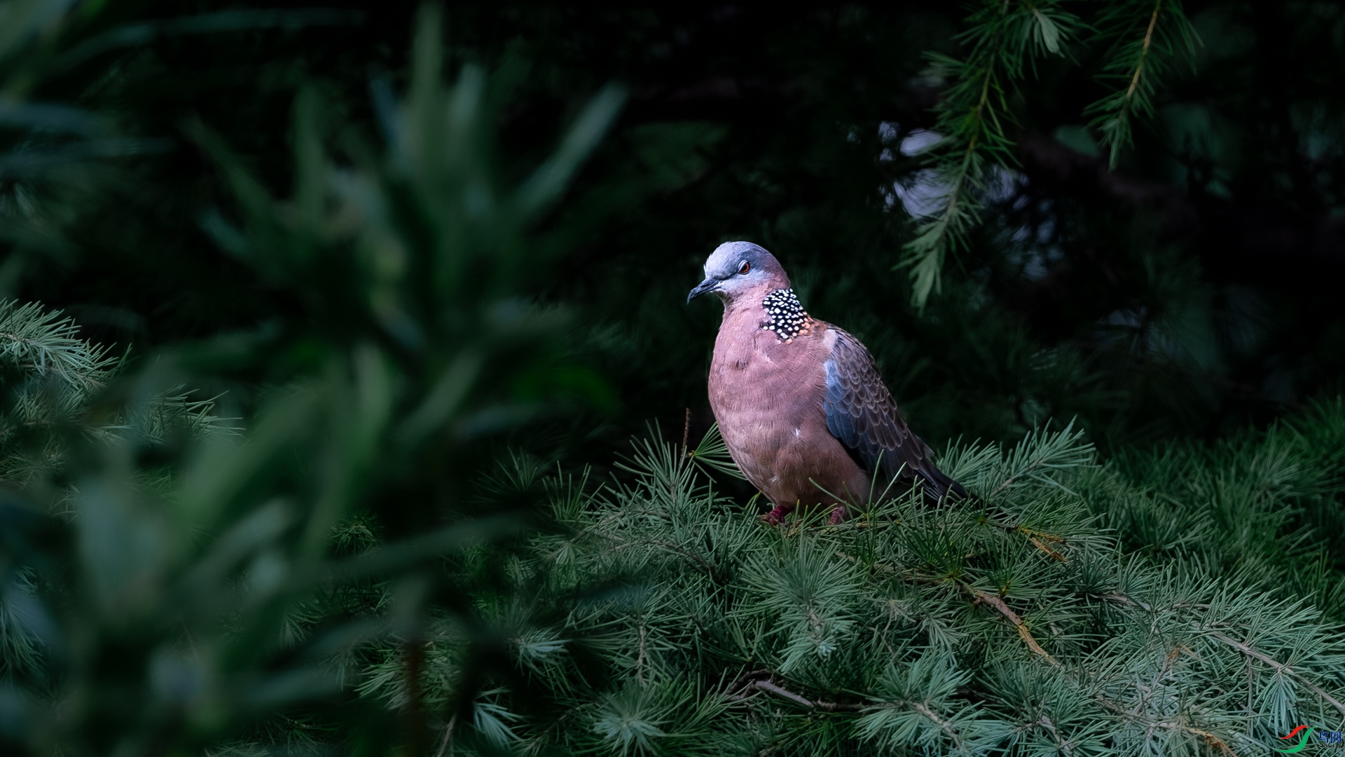 DSC_6839.jpg