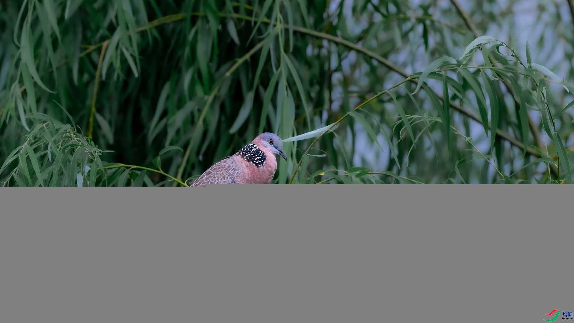 DSC_6843.jpg