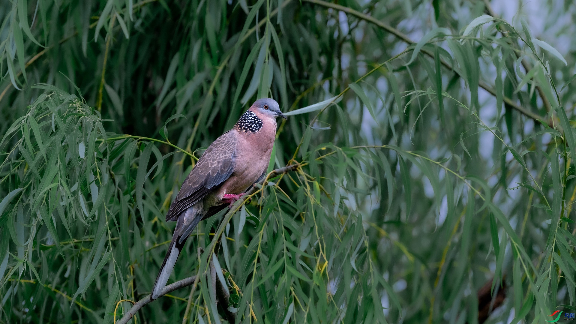 DSC_6846.jpg