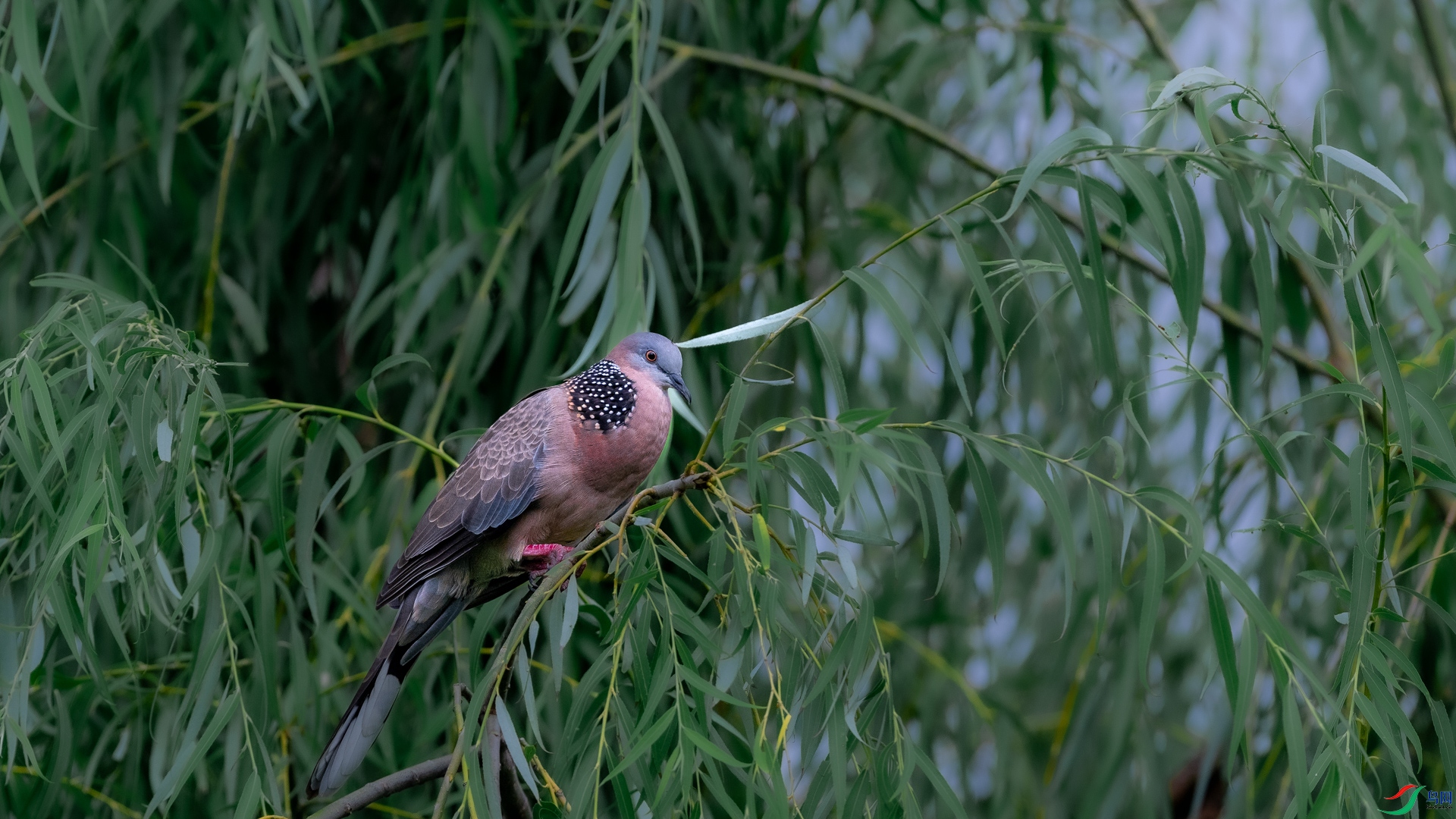 DSC_6848.jpg