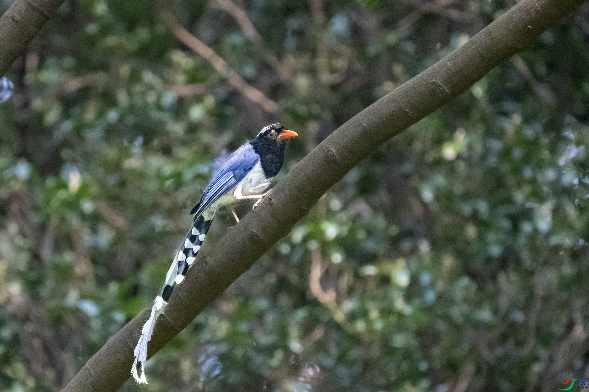 DSC_2119.jpg