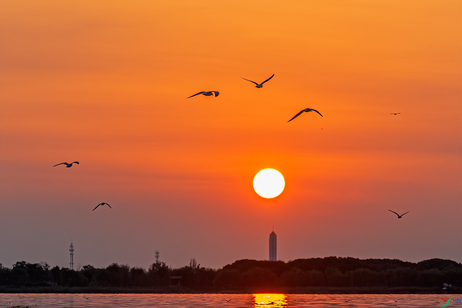 DSC_2378-11.jpg