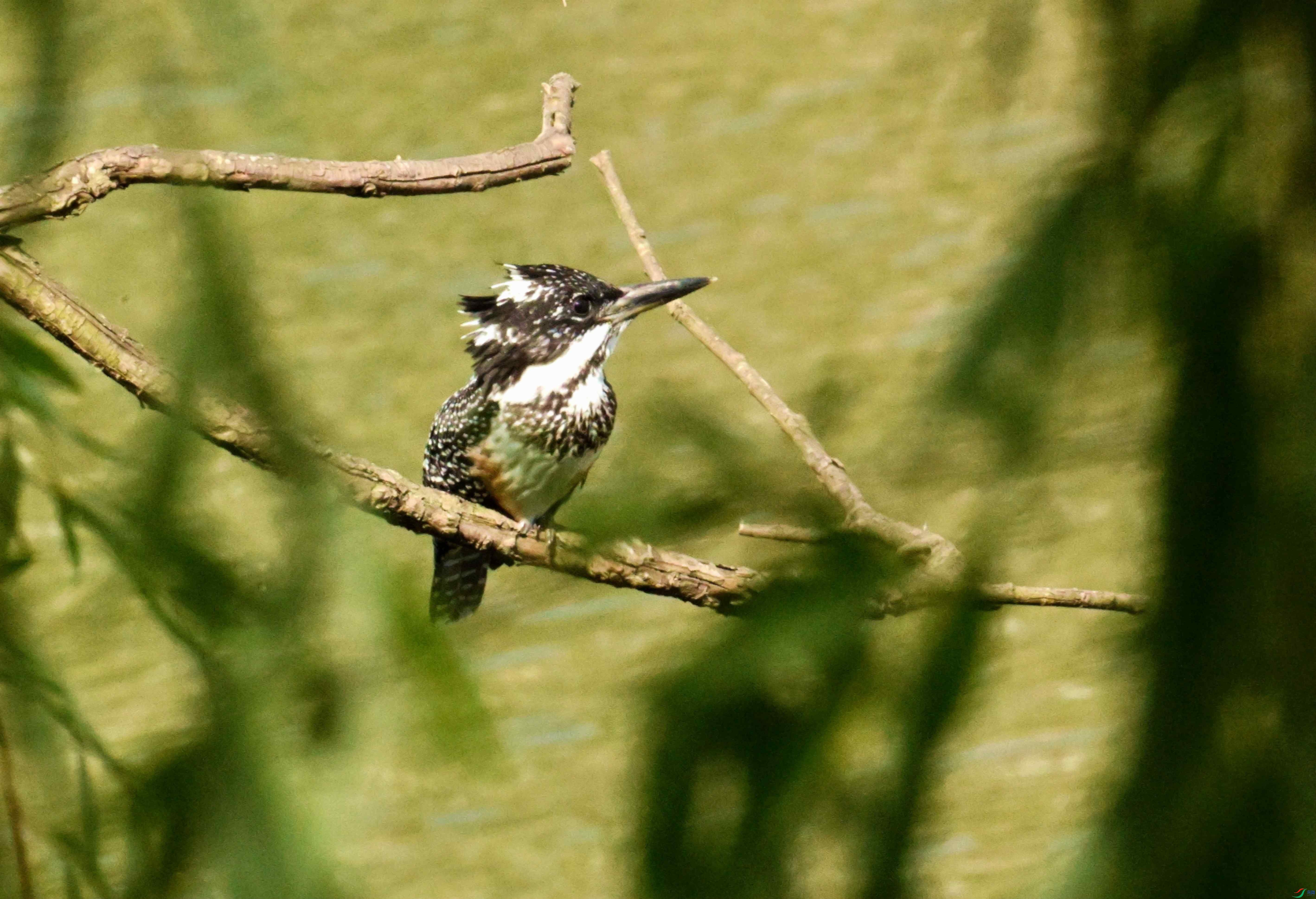 DSC_7327.JPG