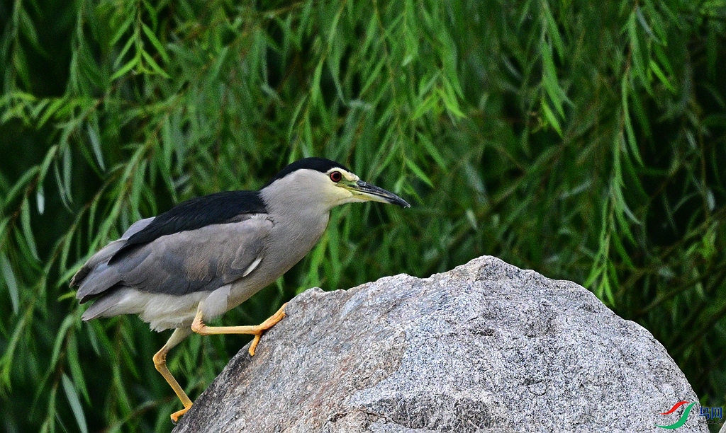 DSC_2836.JPG