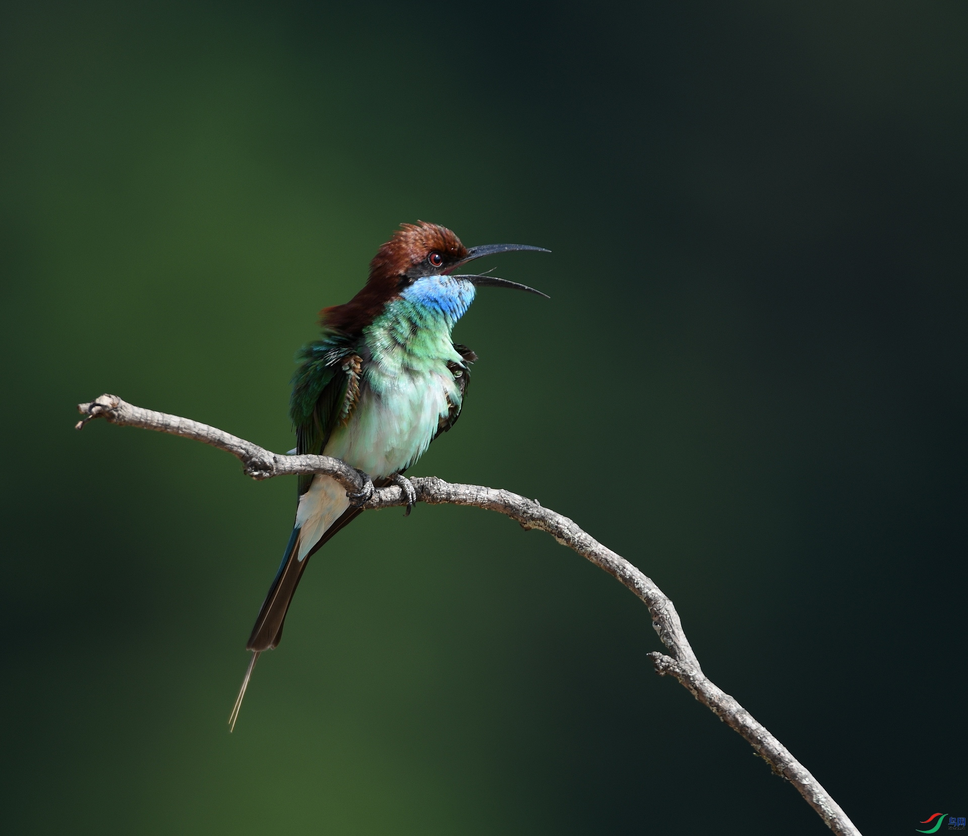 DSC_6438.jpg