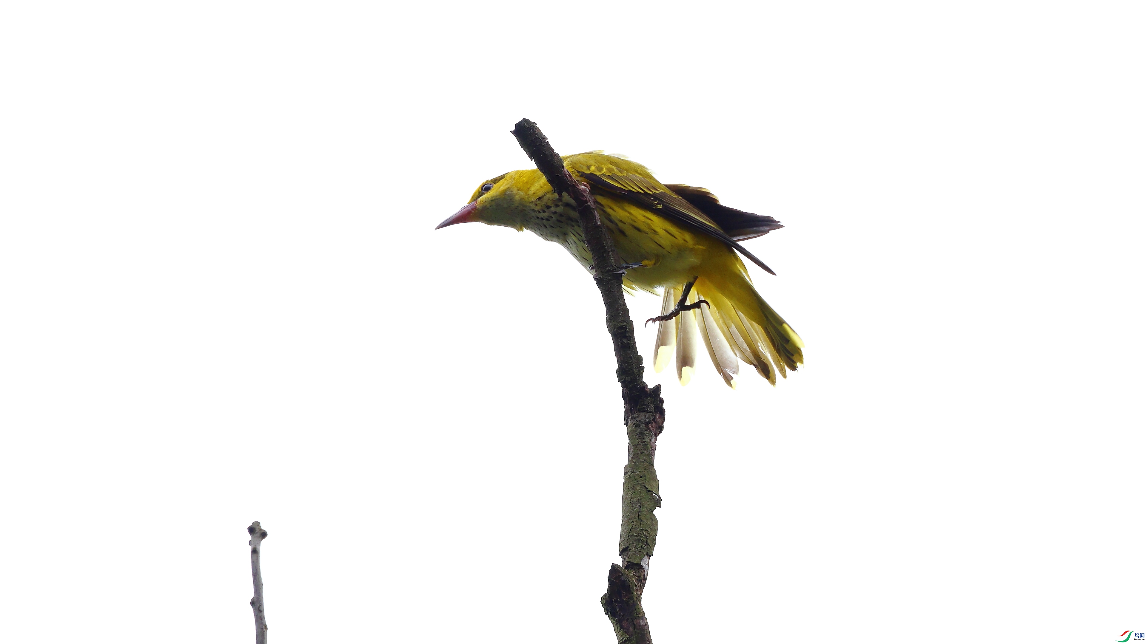 IMG_7677.JPG
