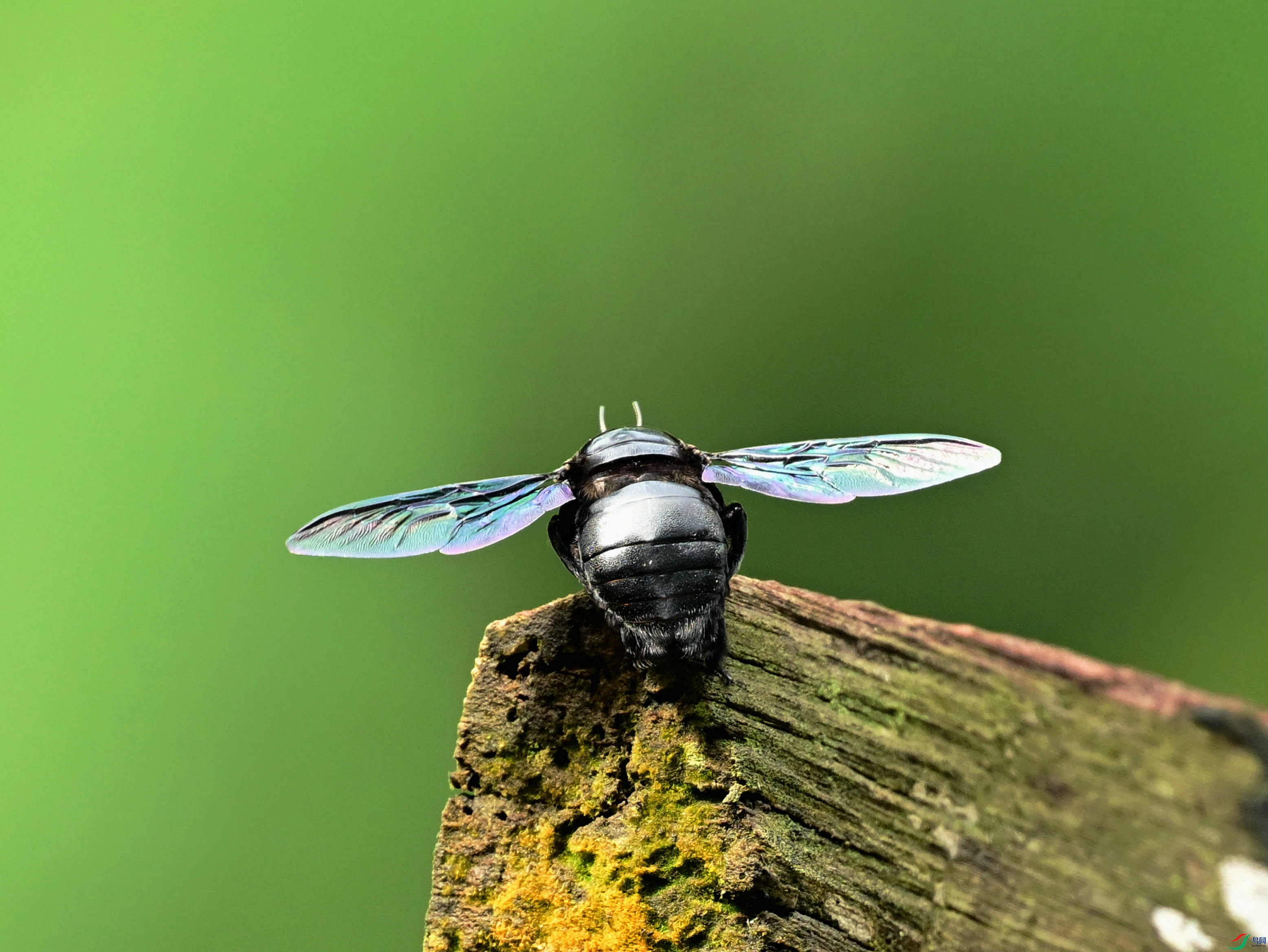 DSC_8968.JPG