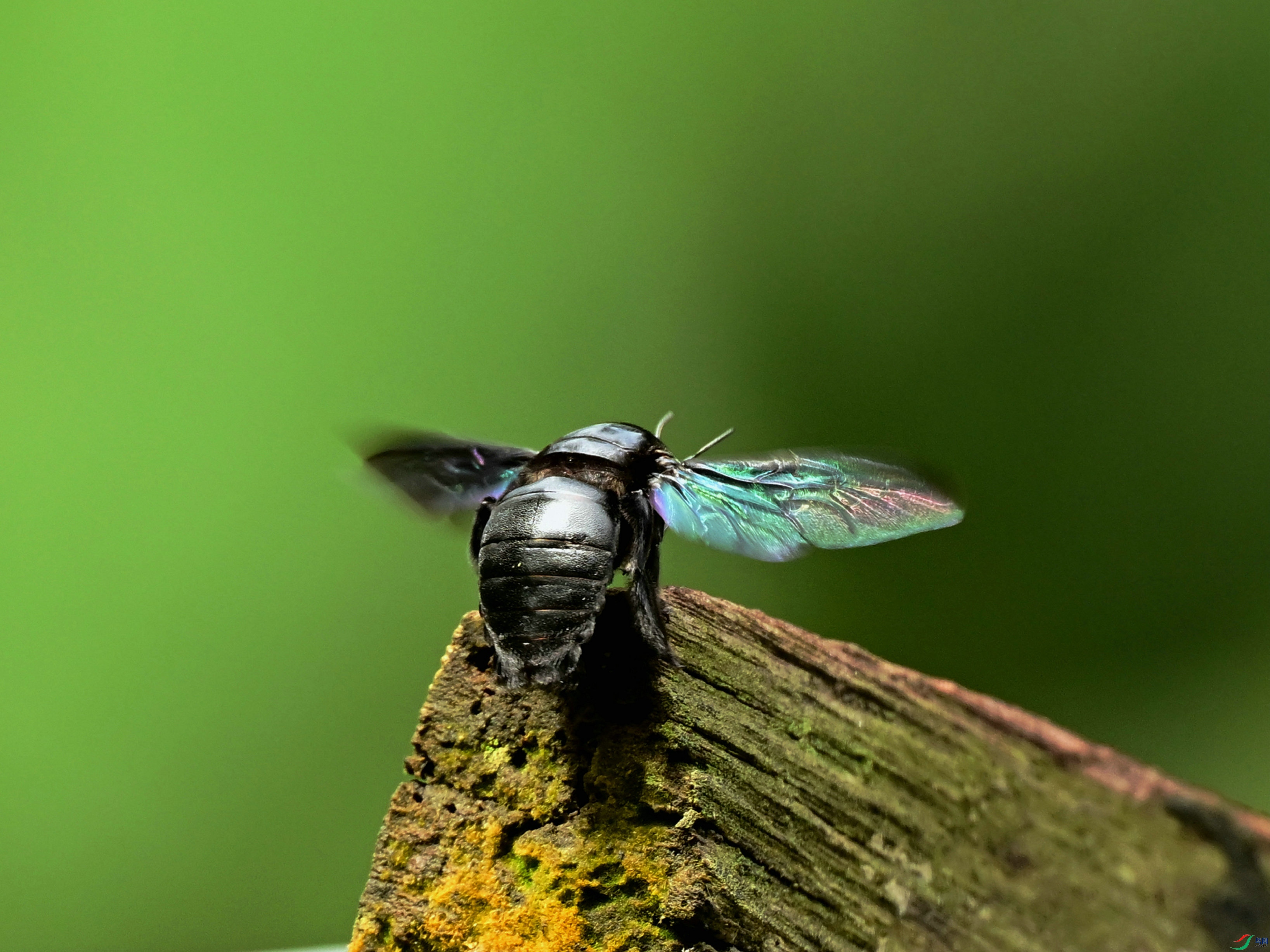 DSC_8952.jpg