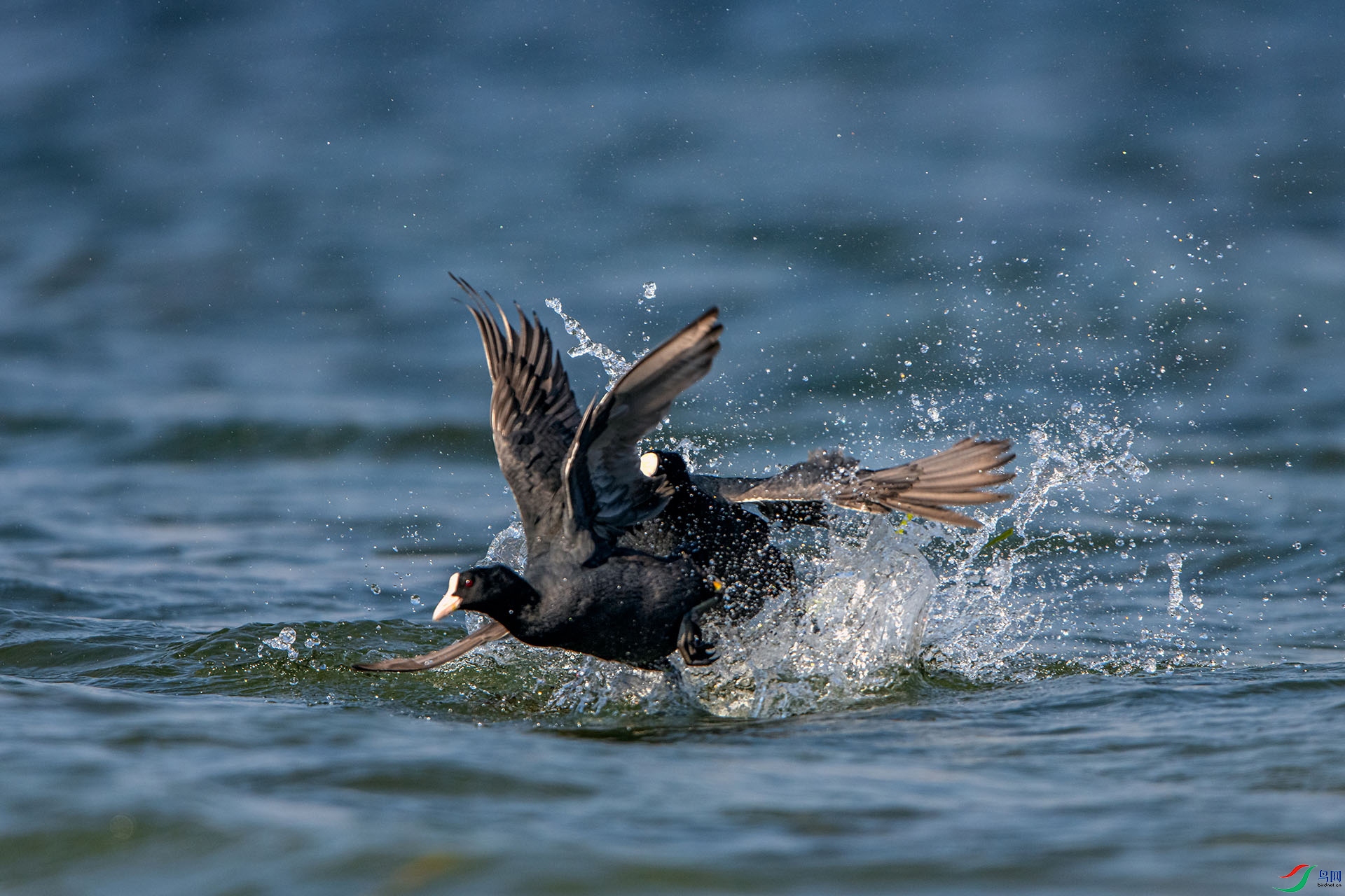 _AUU9794��ս(24.3.10).jpg