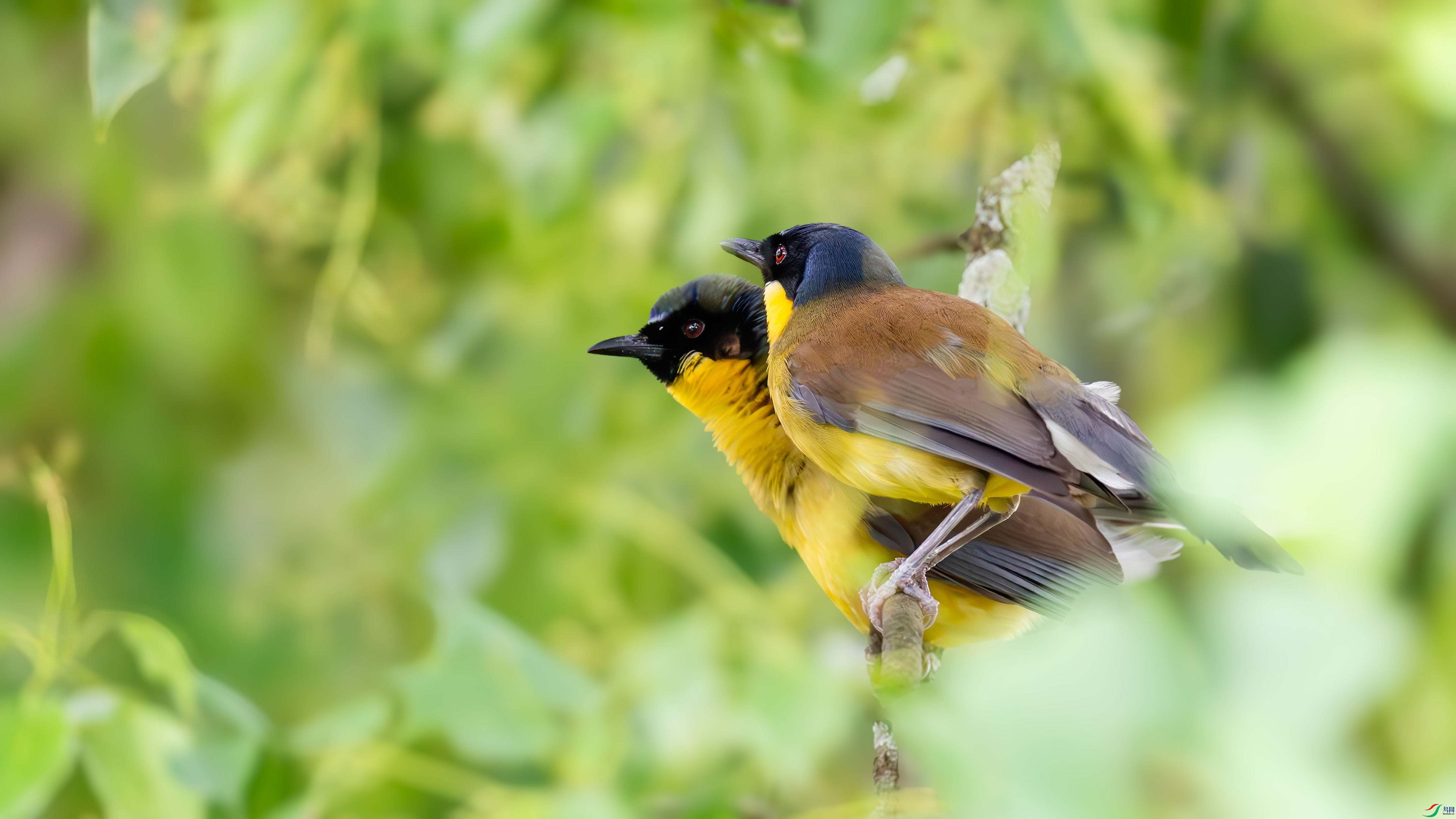 A40I5364-1��.jpg