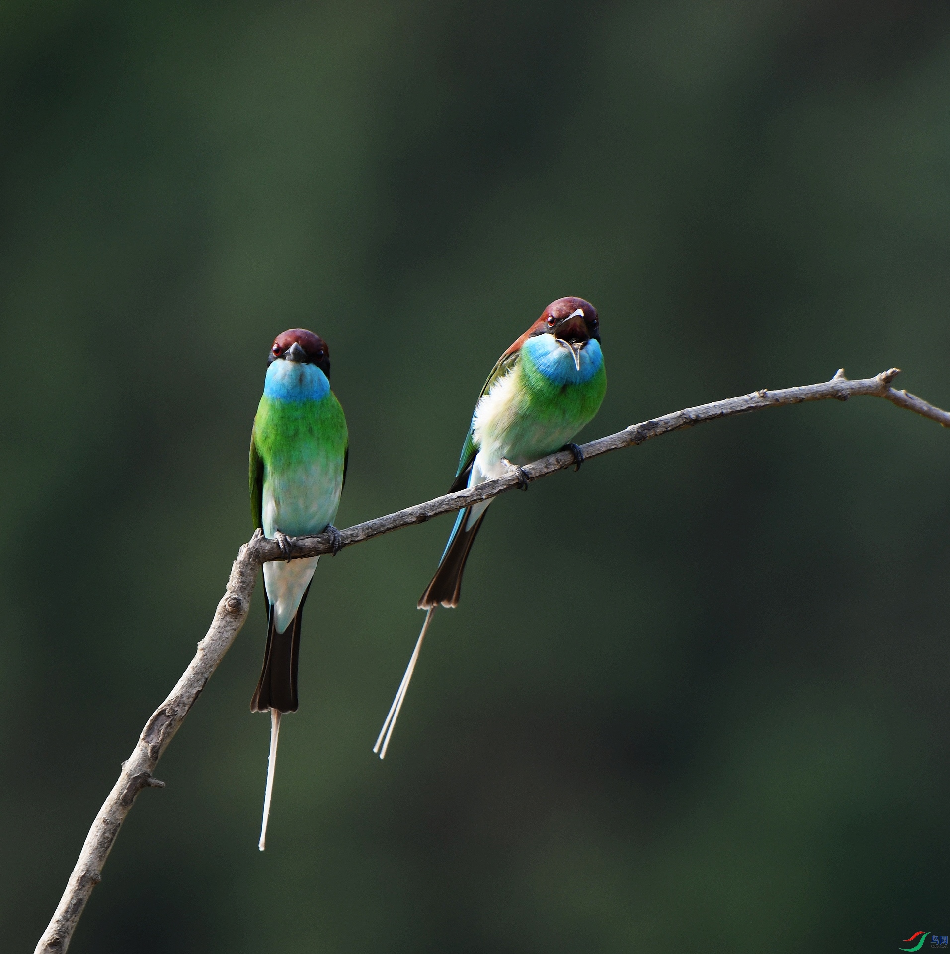 DSC_8984.jpg