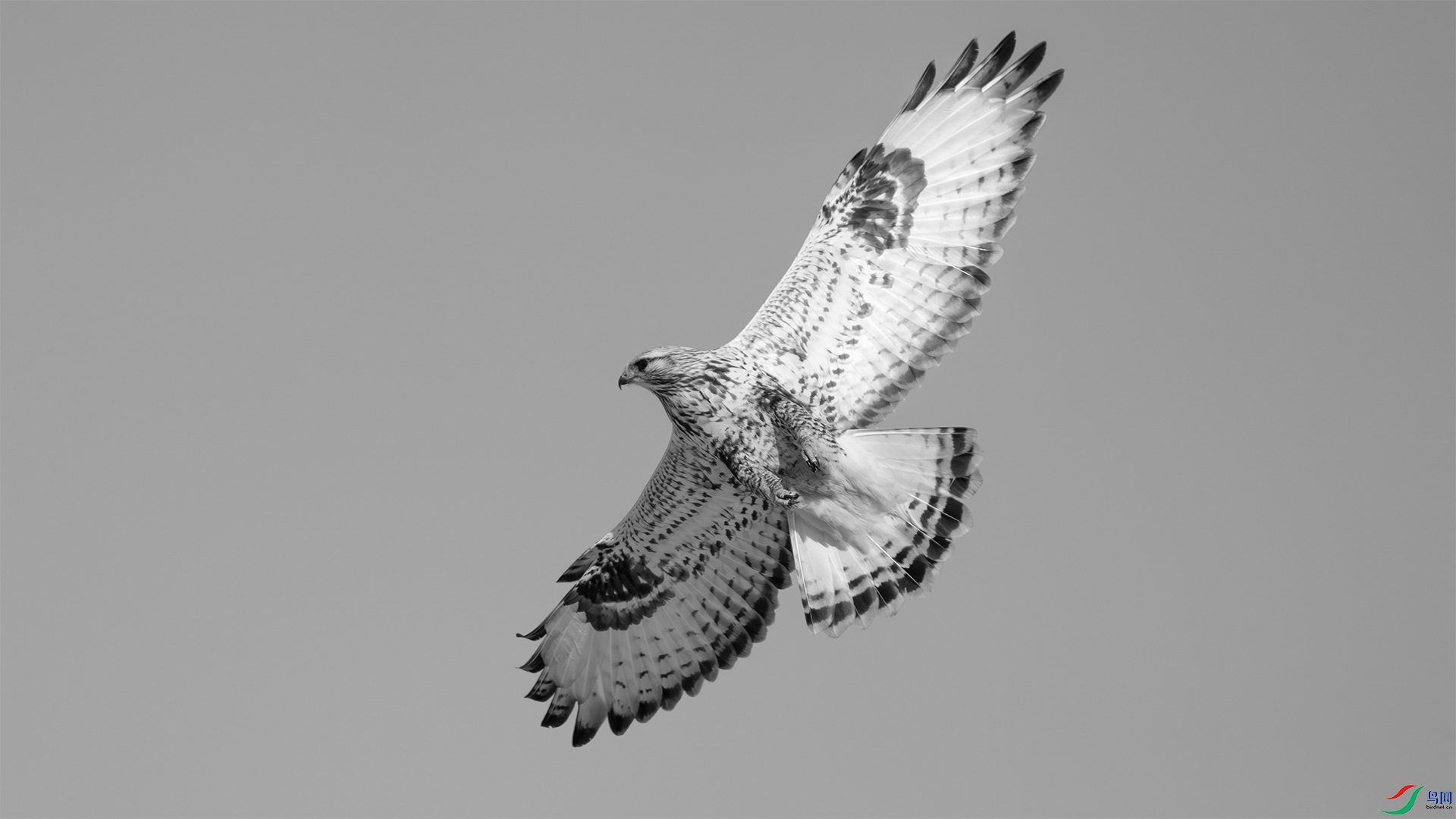 _DSC0514 ���� 2.jpg