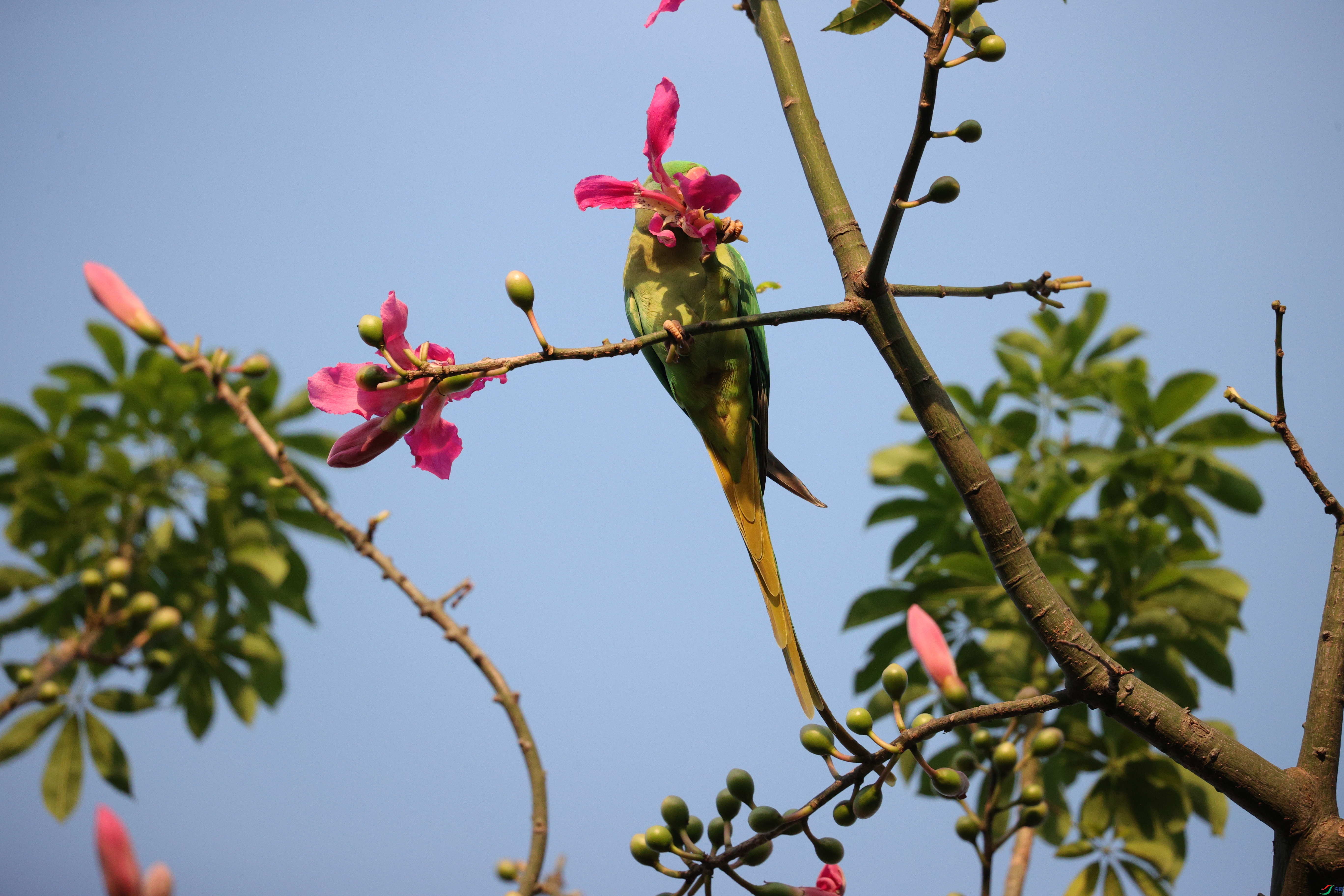 6401��ש����