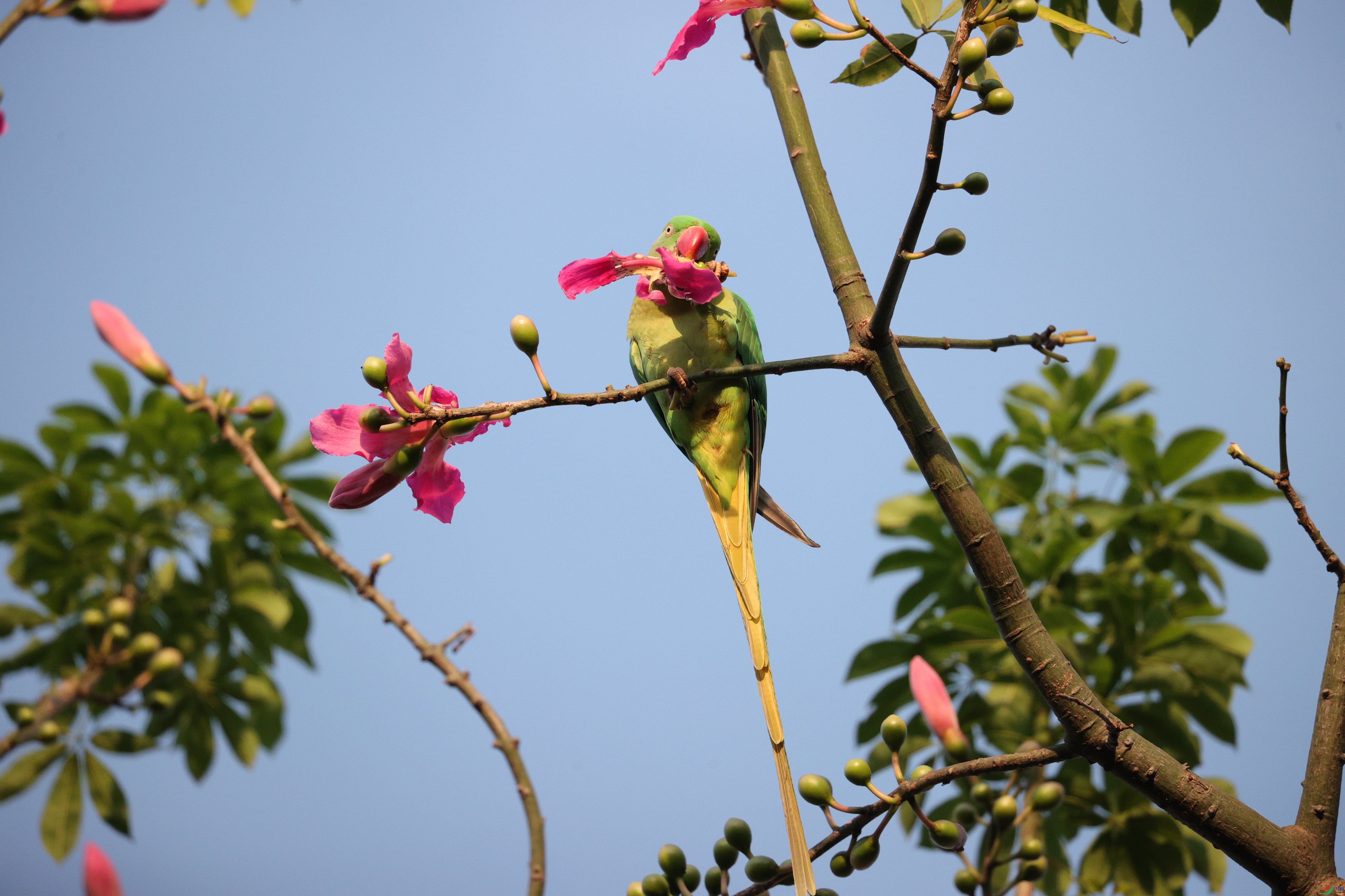 6406��ש����