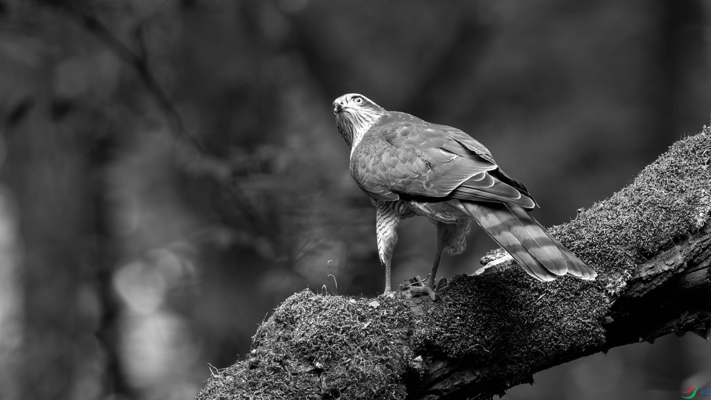DSC04863-1.jpg