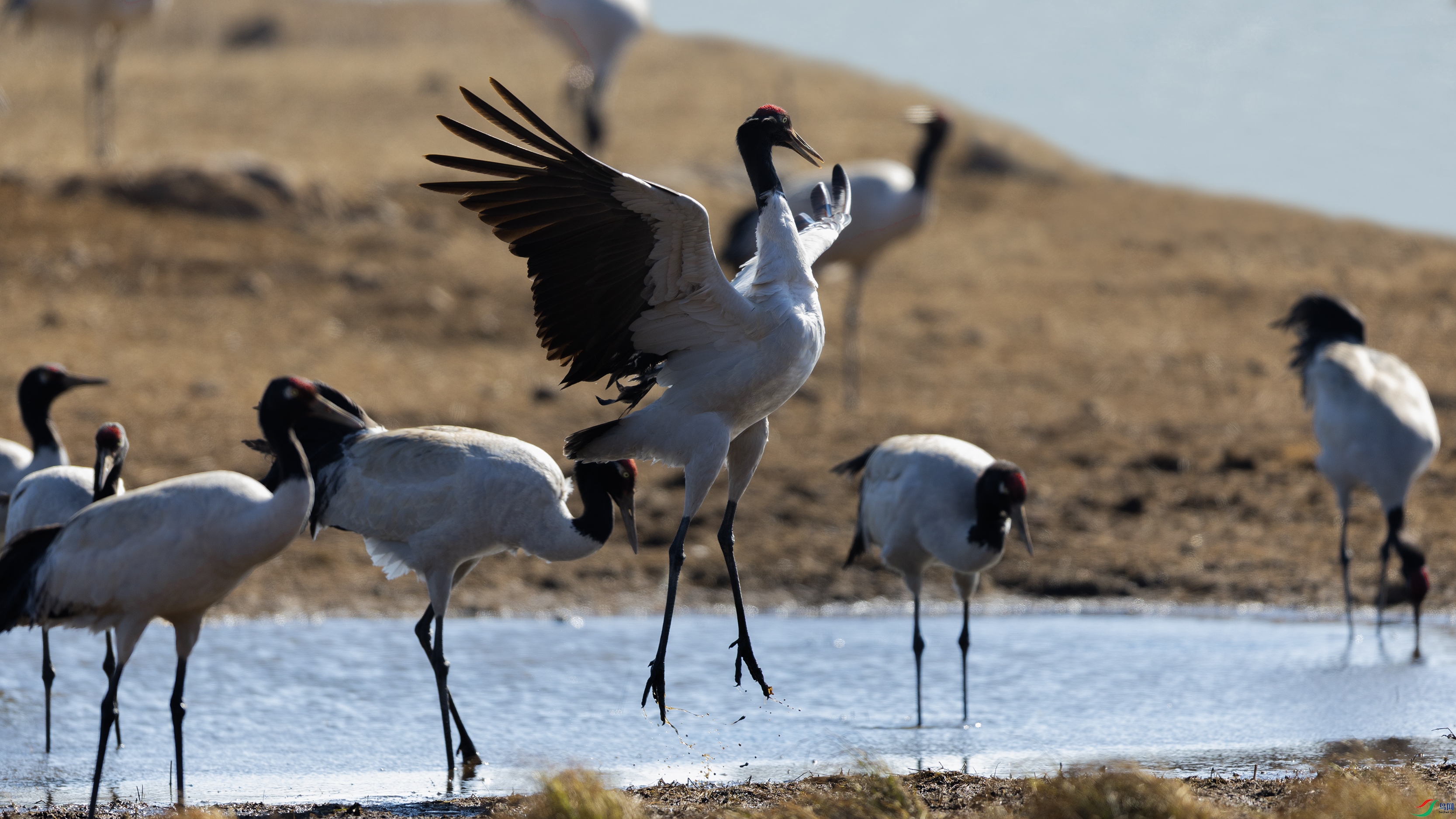 _O7A2284 ����444.jpg