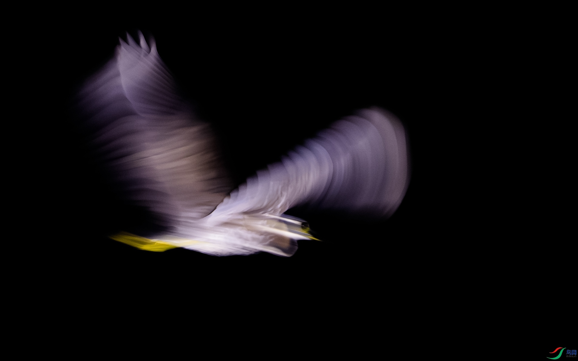 DSC_7568-����ǿ-NR ���� 2.jpg