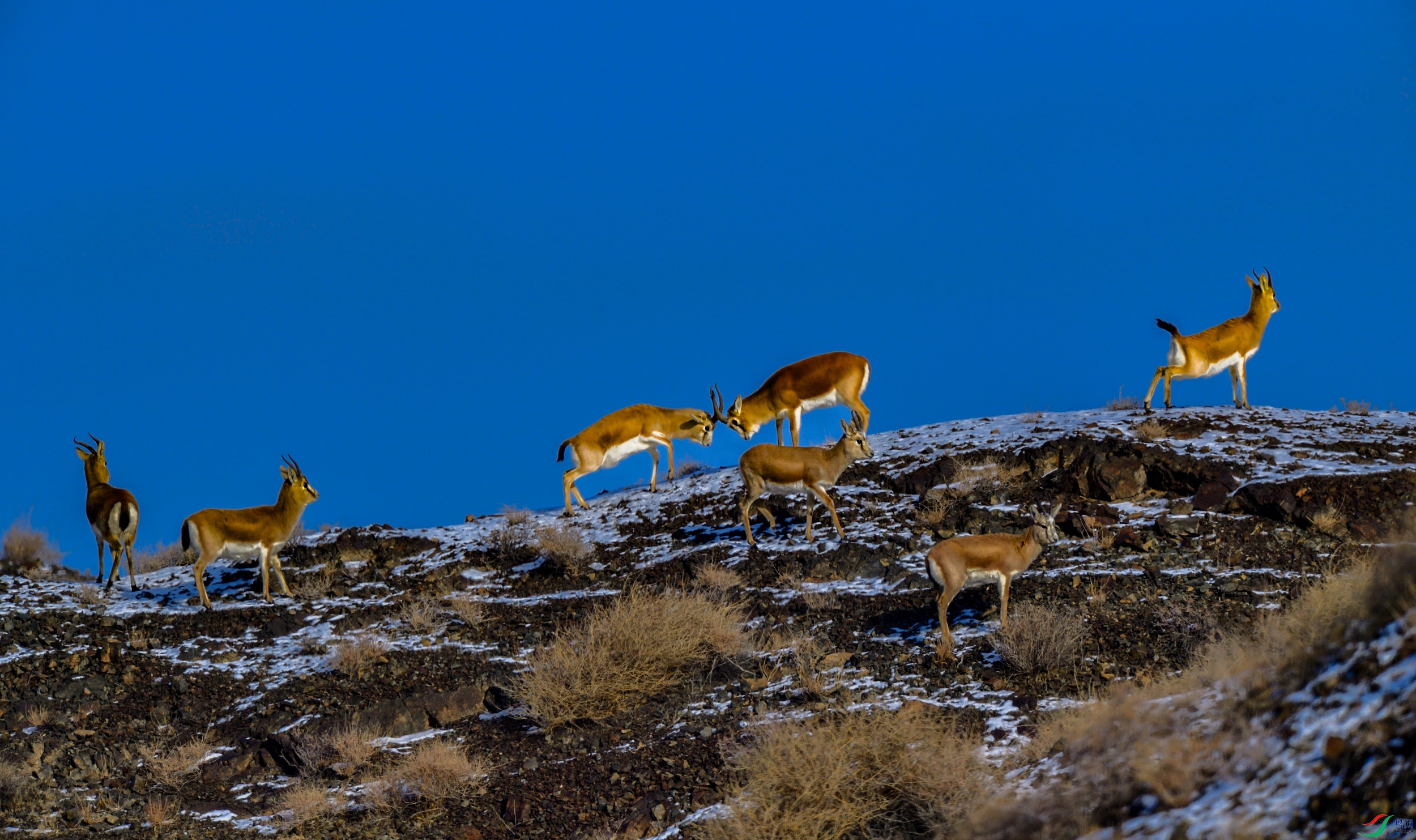 DSC_5548-�ָ���.jpg