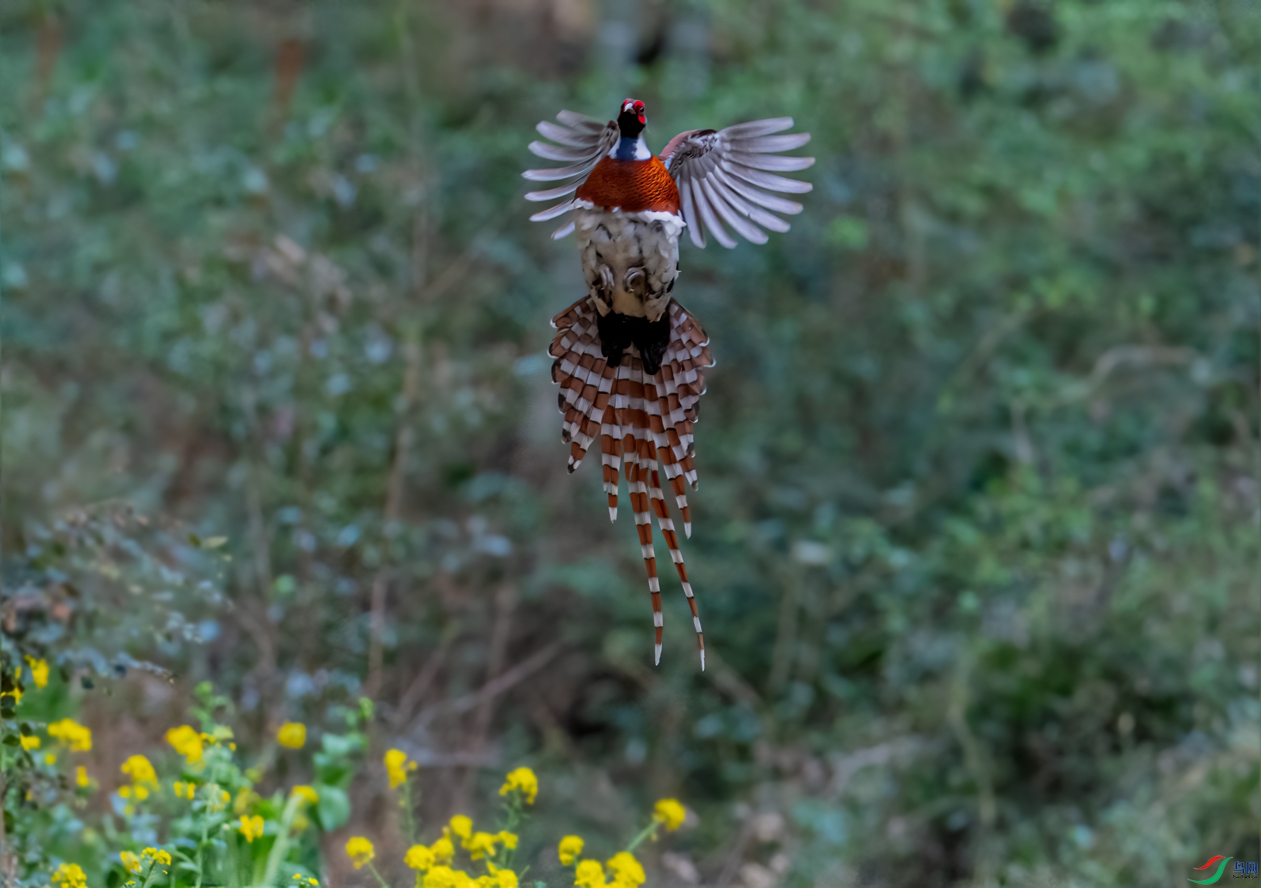 _DSC0474-21.jpg