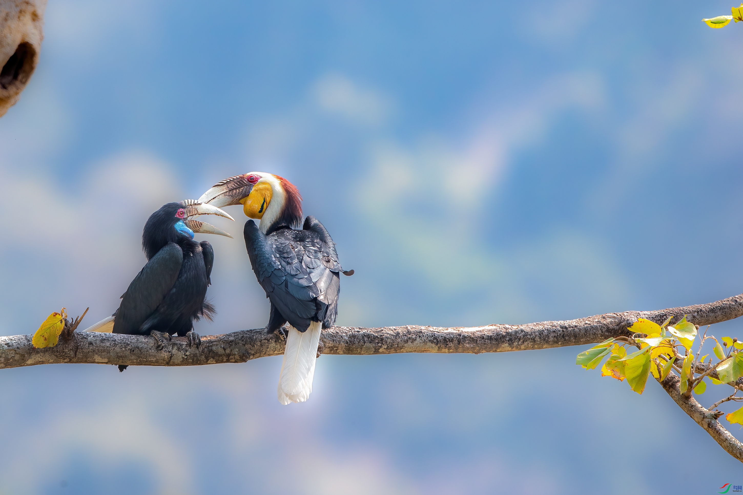 AY8I0468 ����.jpg