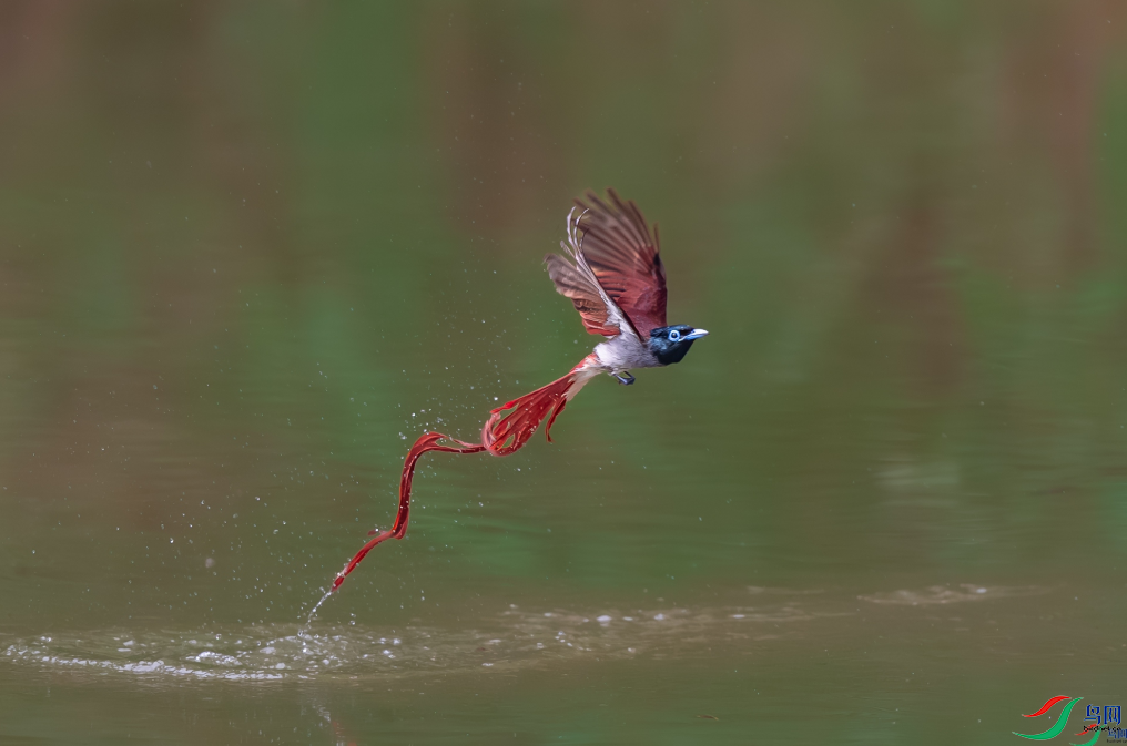 �������ѡ�������ԡ���ٻ���Ӱʦ������lxwyh8i  19.png