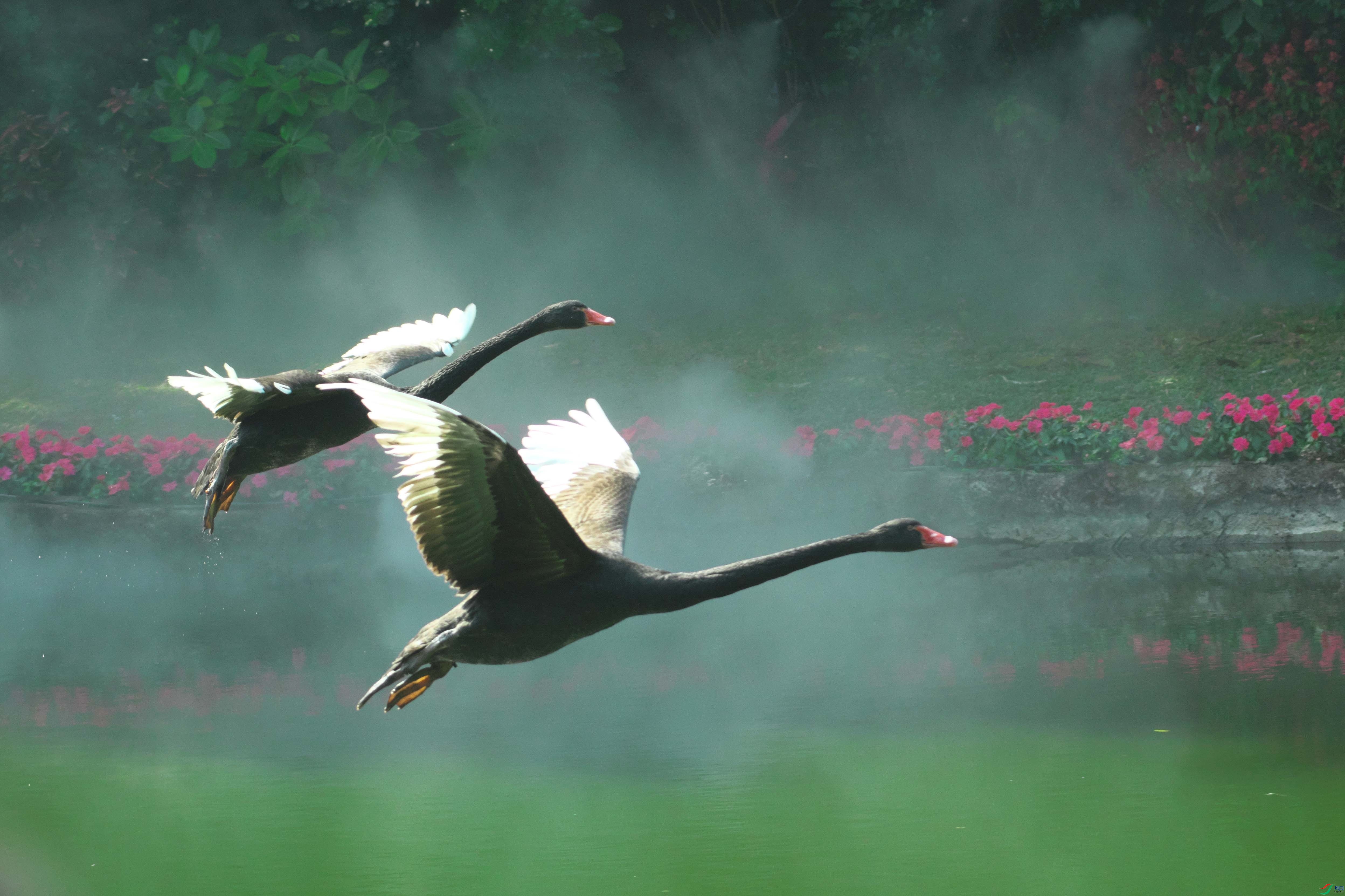 DSCF8679p.jpg