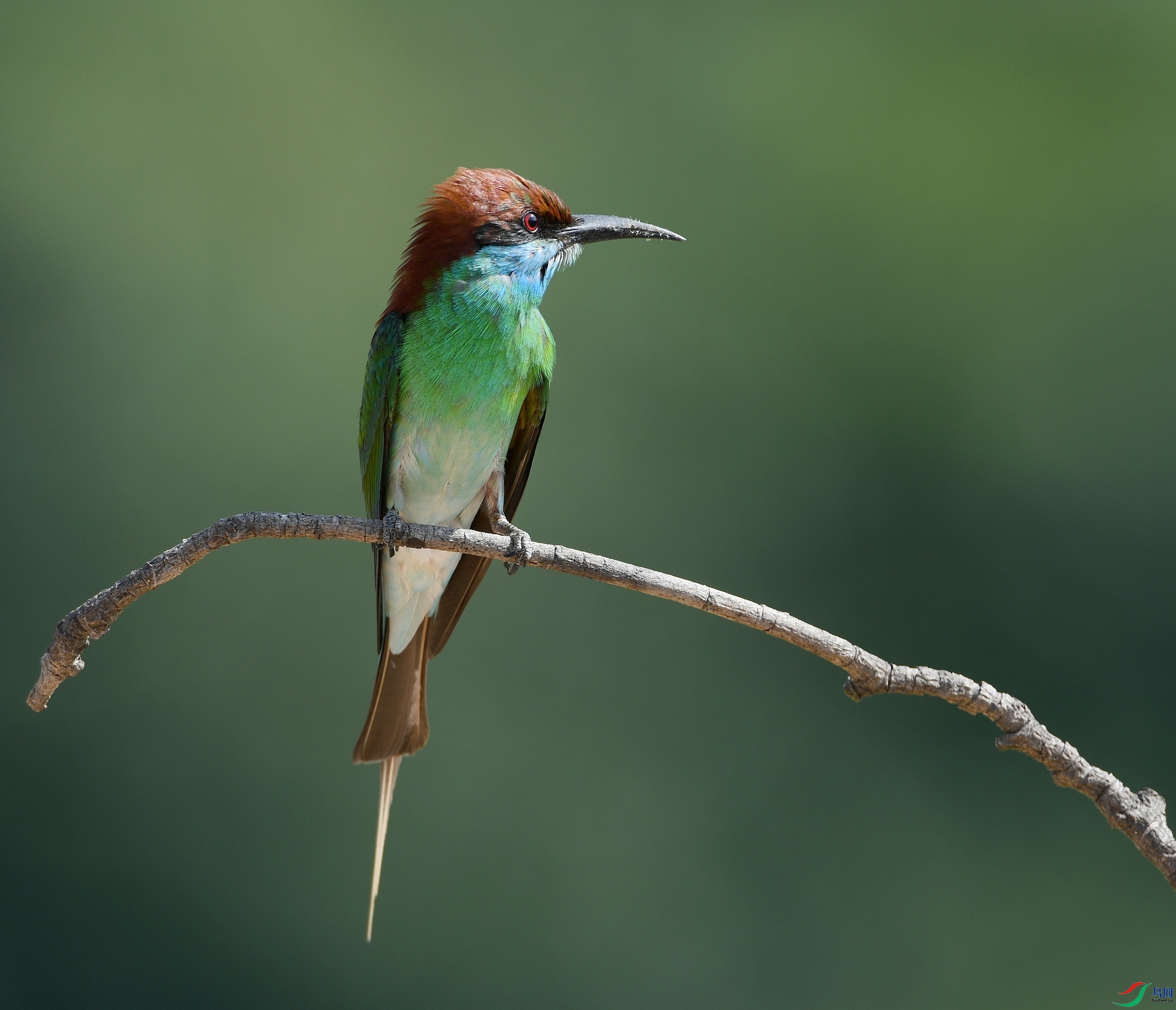 DSC_6483.jpg