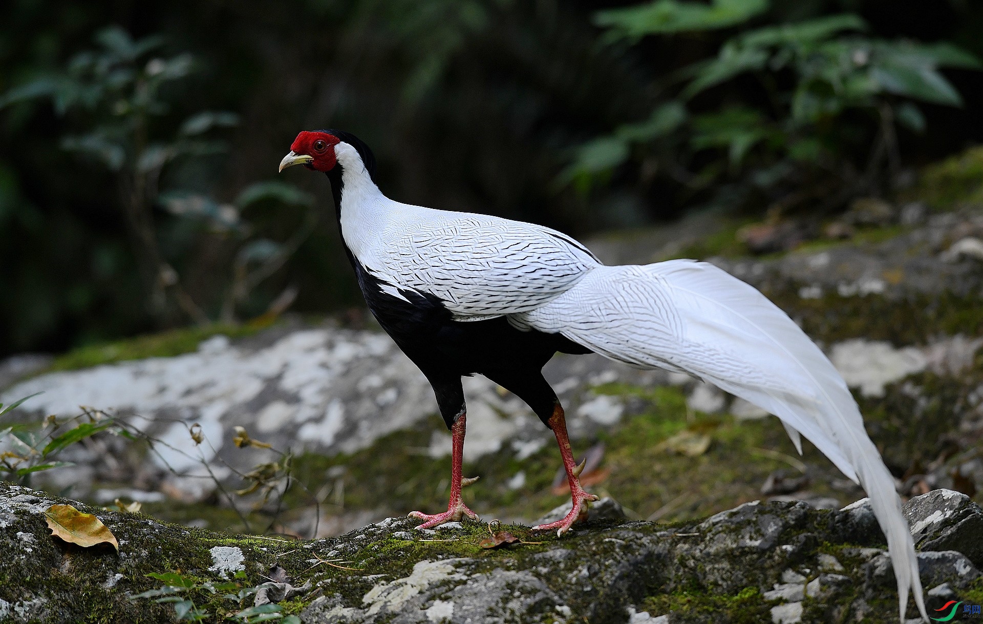 DSC_2880.jpg