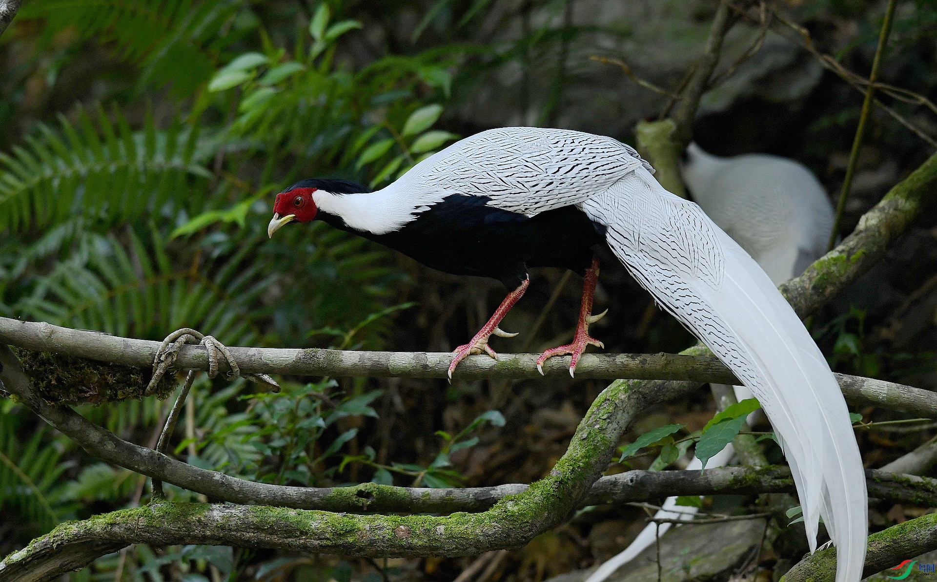 DSC_3271.jpg