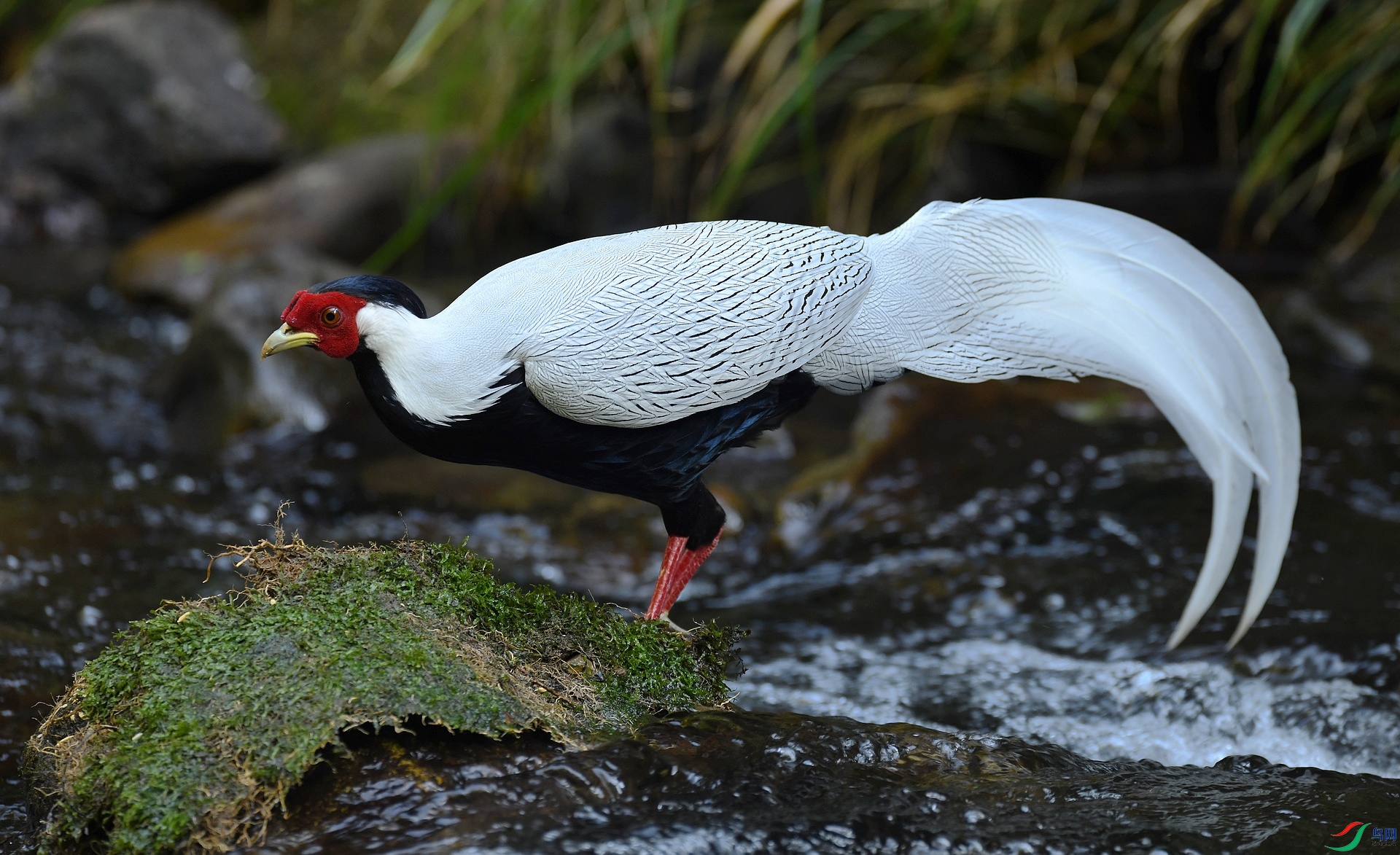 DSC_7714.jpg