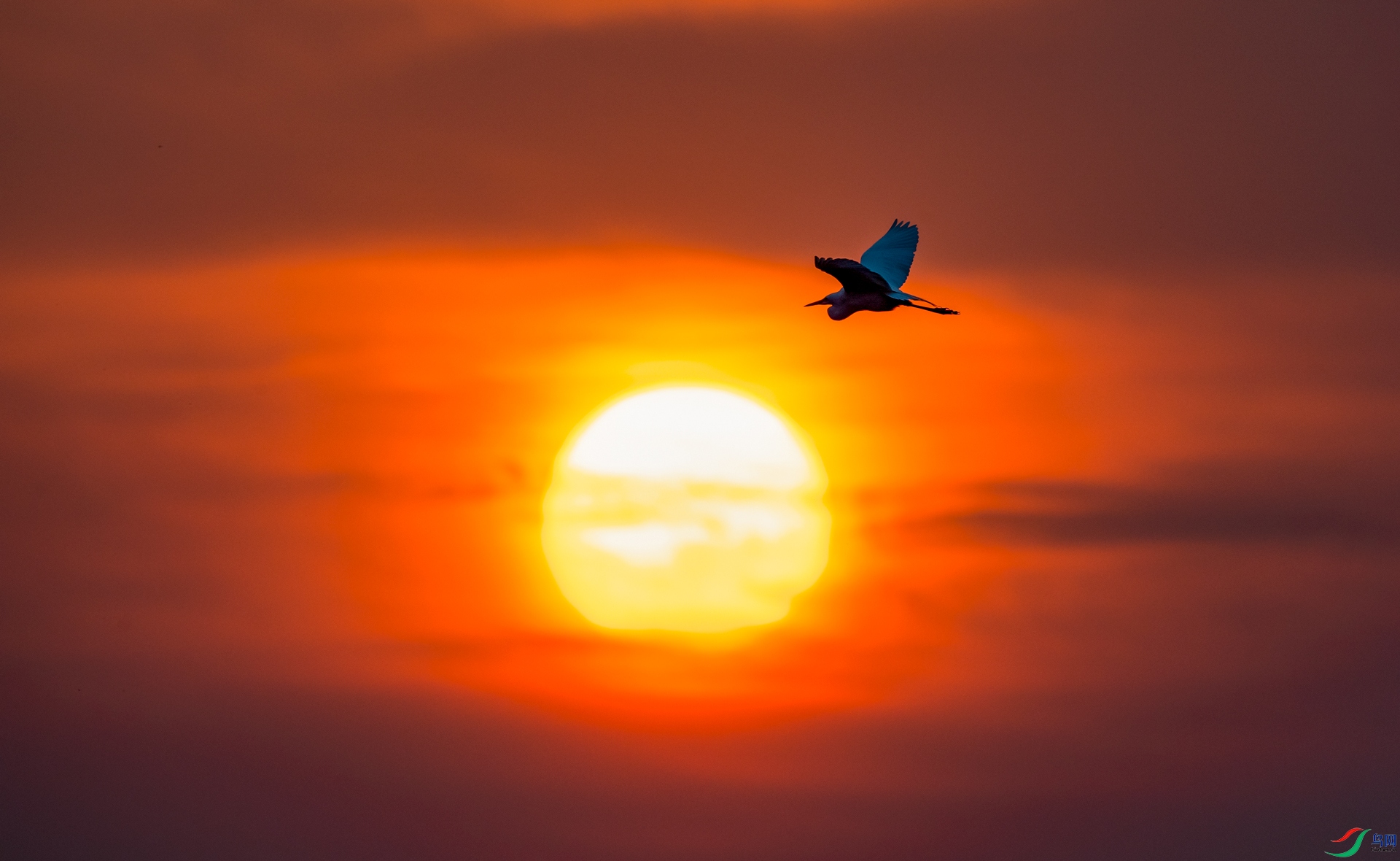 DSC_���� - ����.jpg