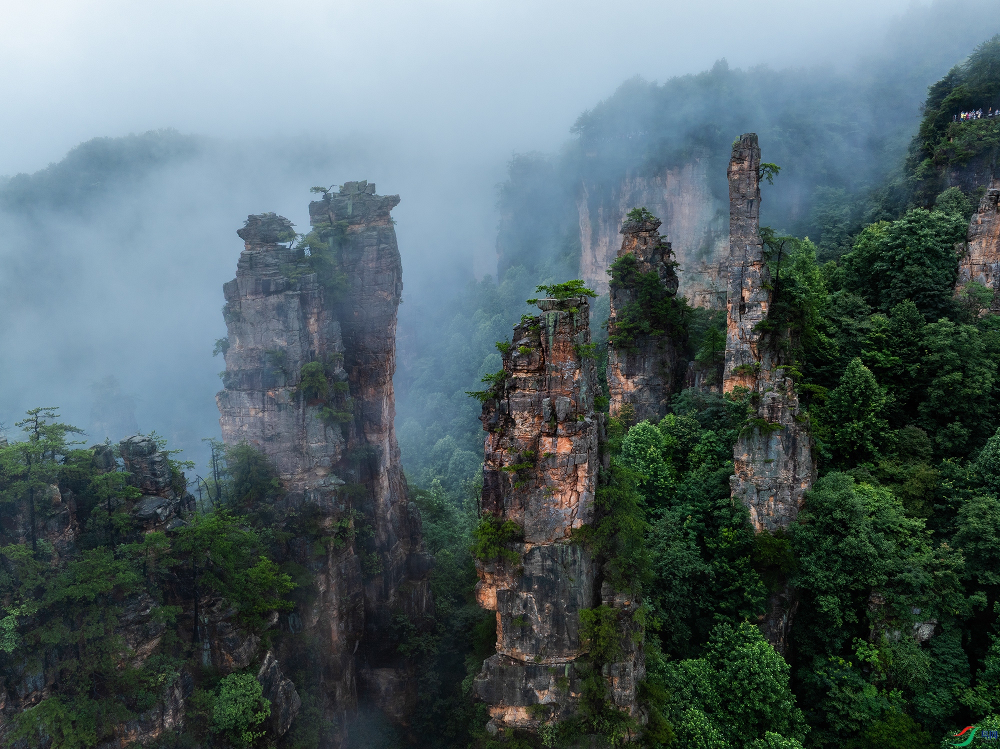 DJI_20250626095232_0036_D-1 ����.jpg