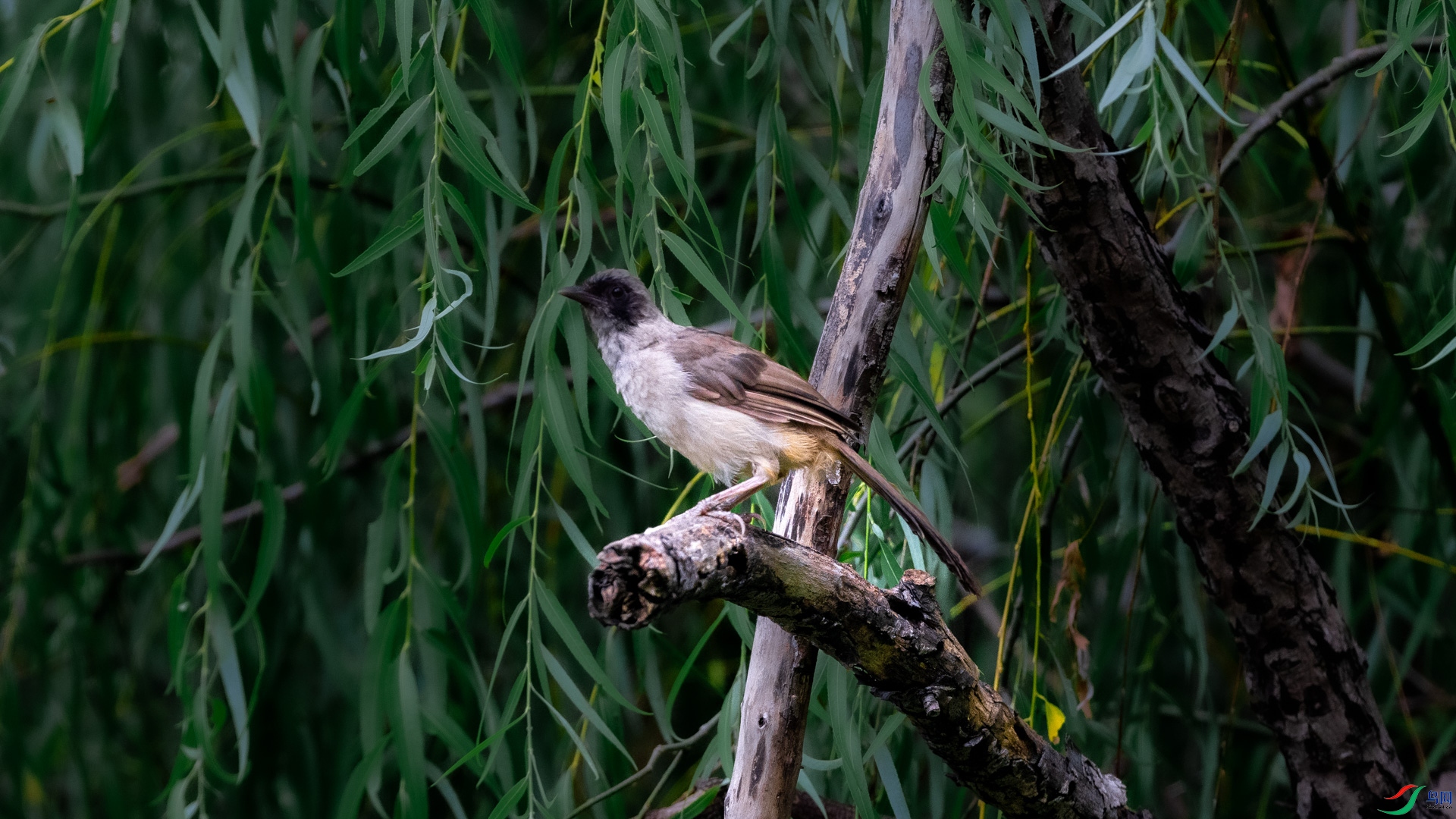 DSC_6899.jpg