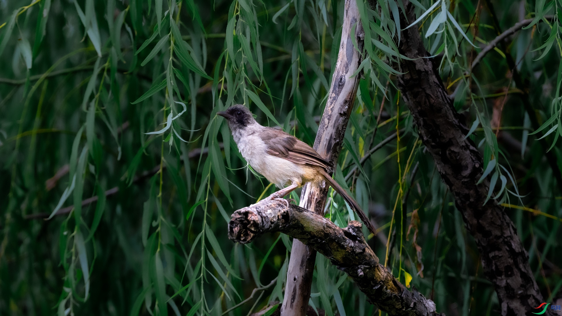 DSC_6900.jpg