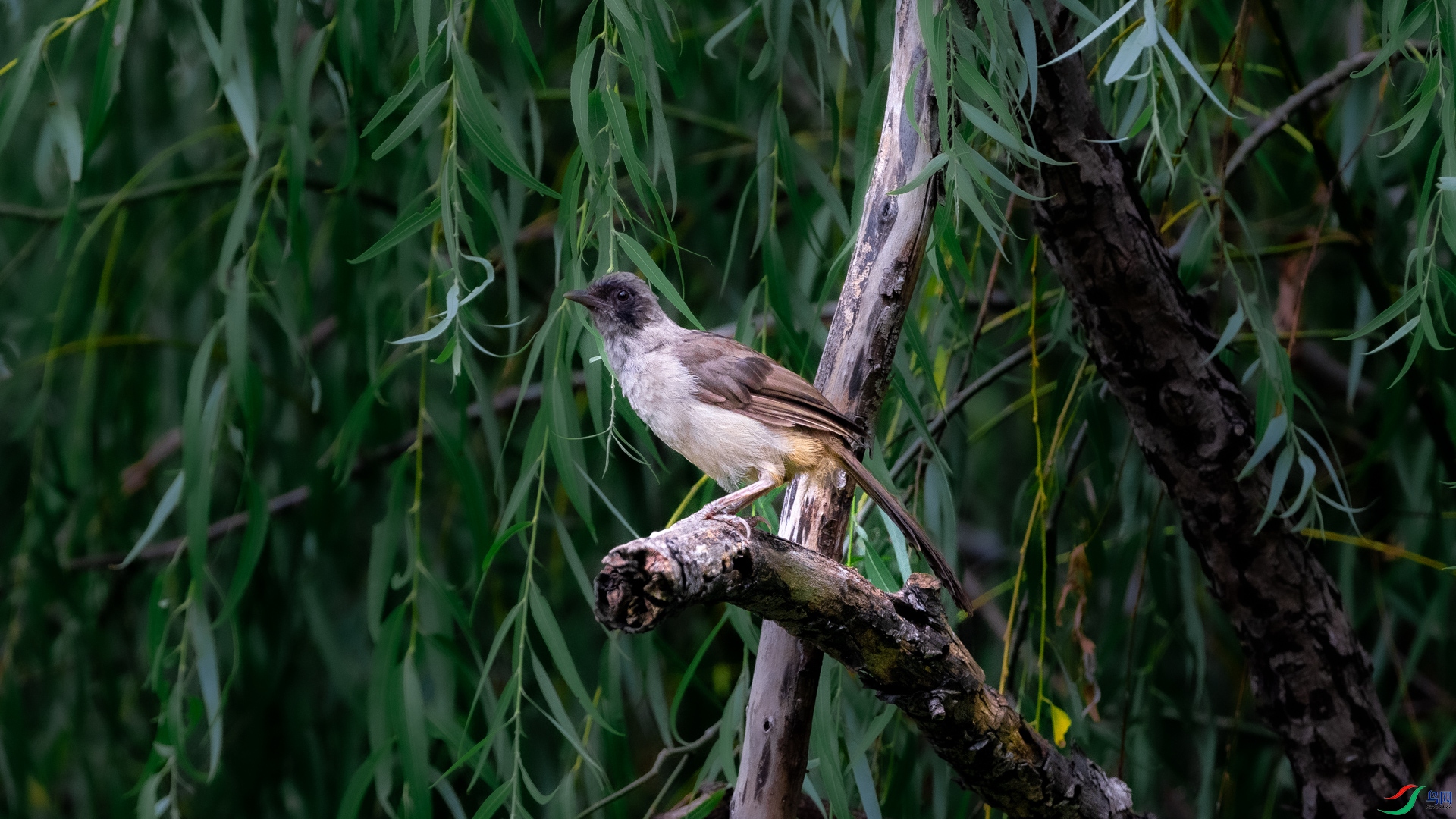 DSC_6901.jpg