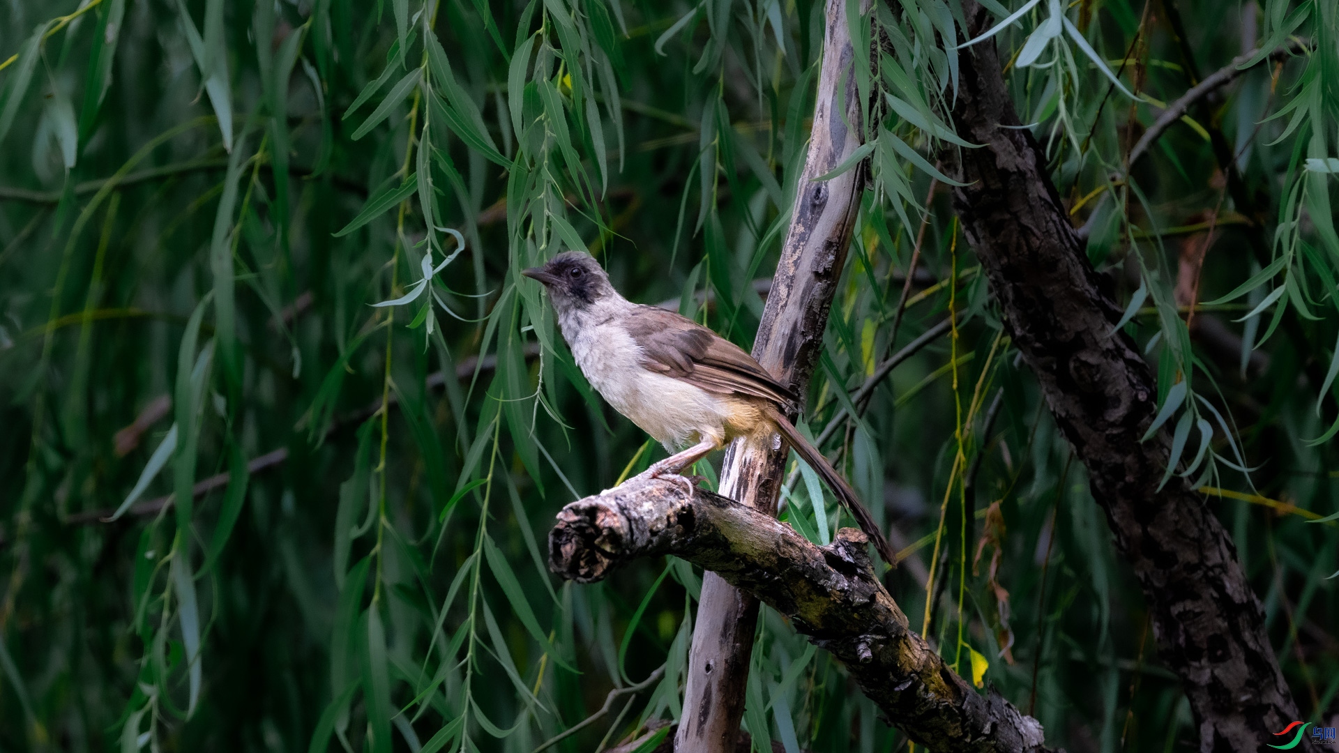 DSC_6902.jpg