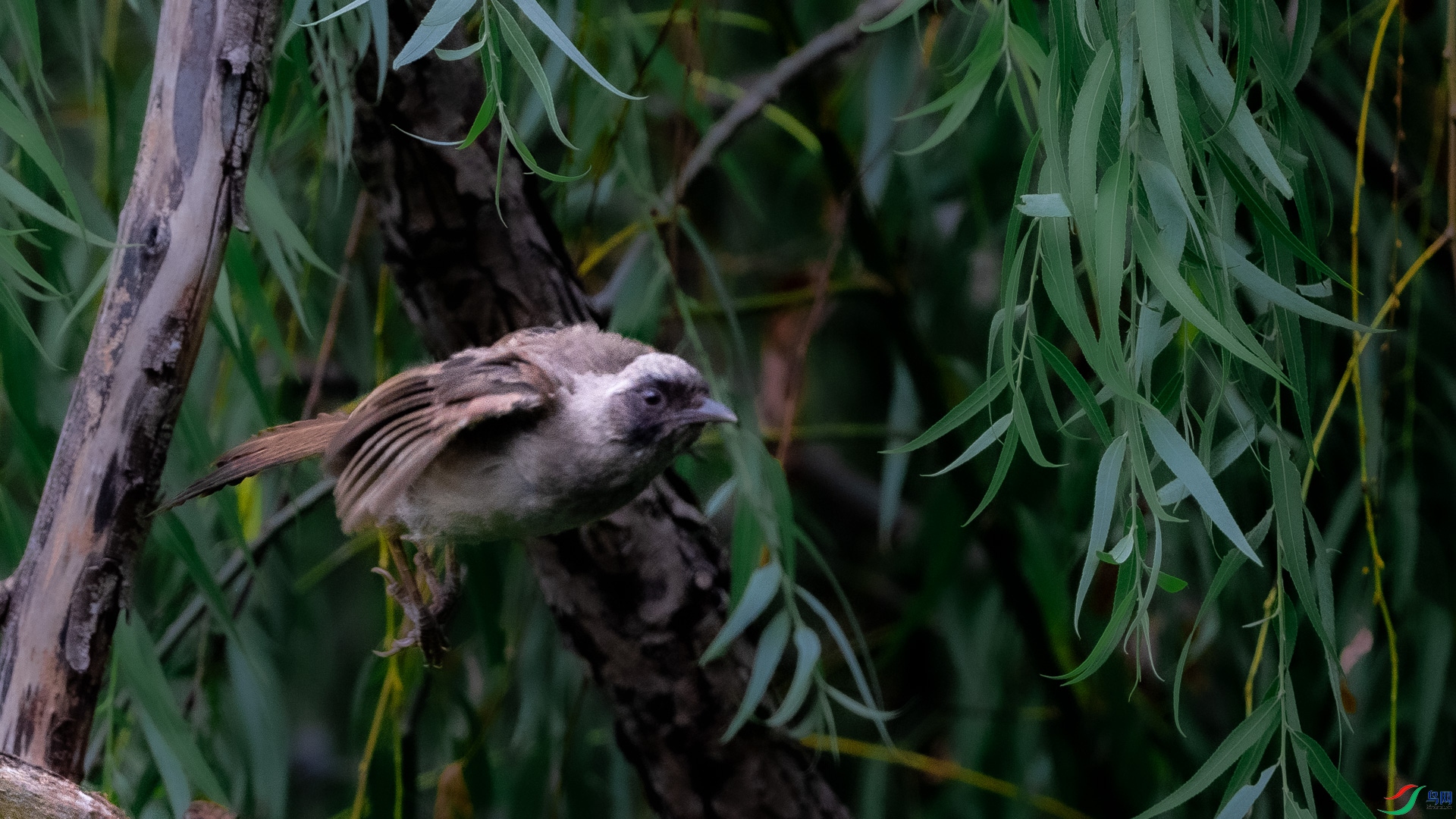 DSC_6908.jpg