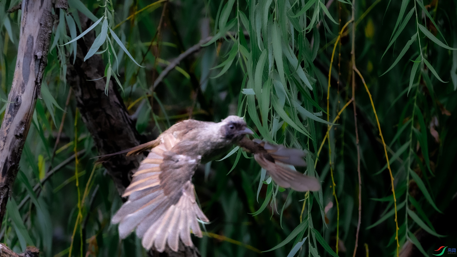 DSC_6909.jpg