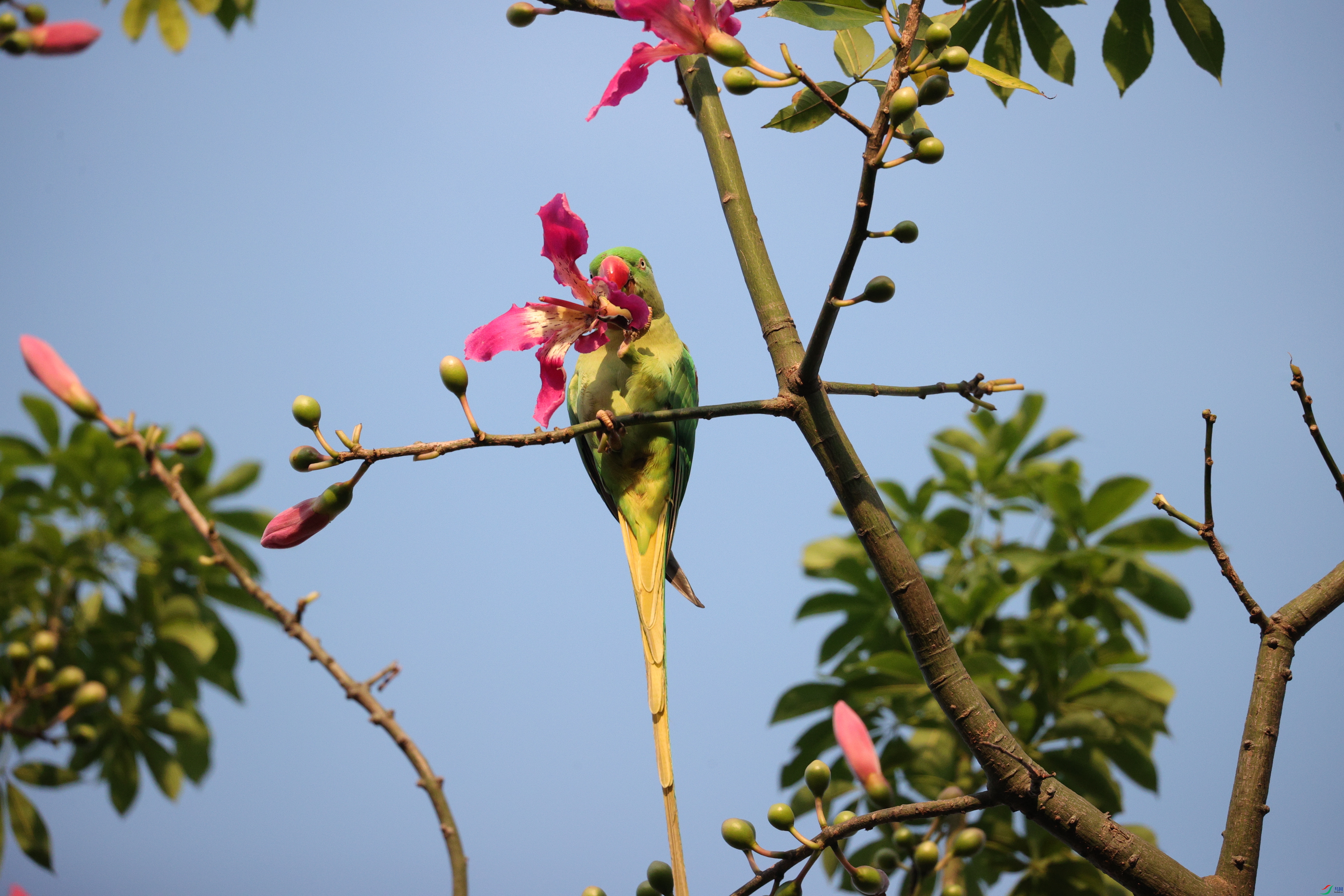 6501��ש����